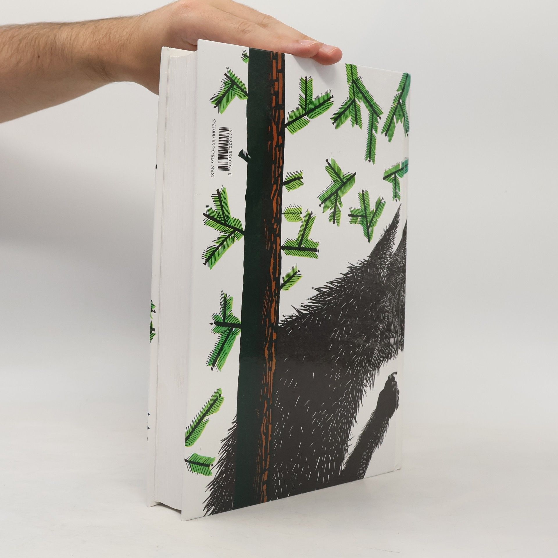 Jacob Grimm Die Kinder- und Hausmärchen der Brüder Grimm