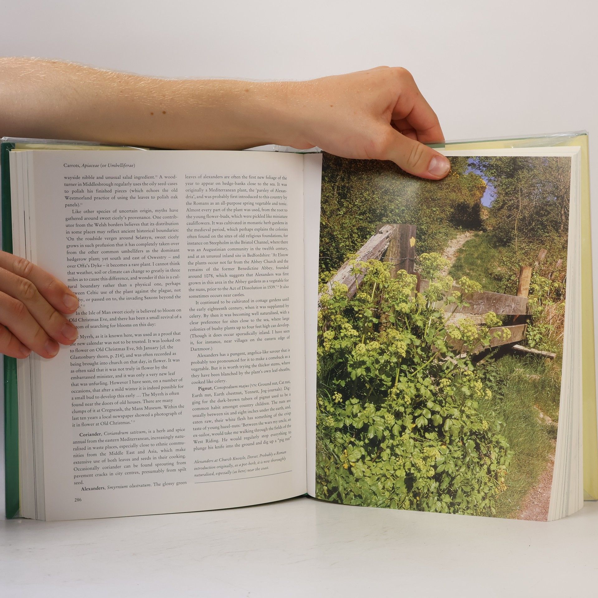 Richard Mabey Flora Britannica