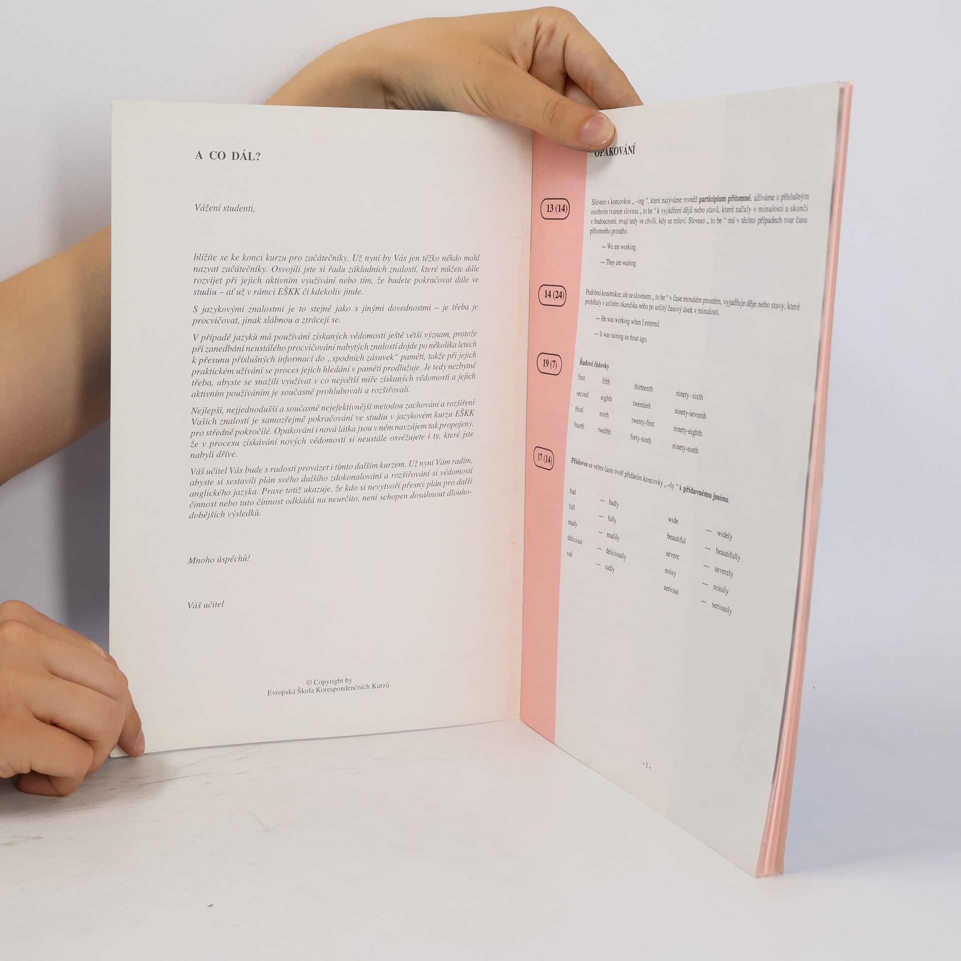 Auteurscollectief Angličtina pro začátečníky. Lekce 29 a 30