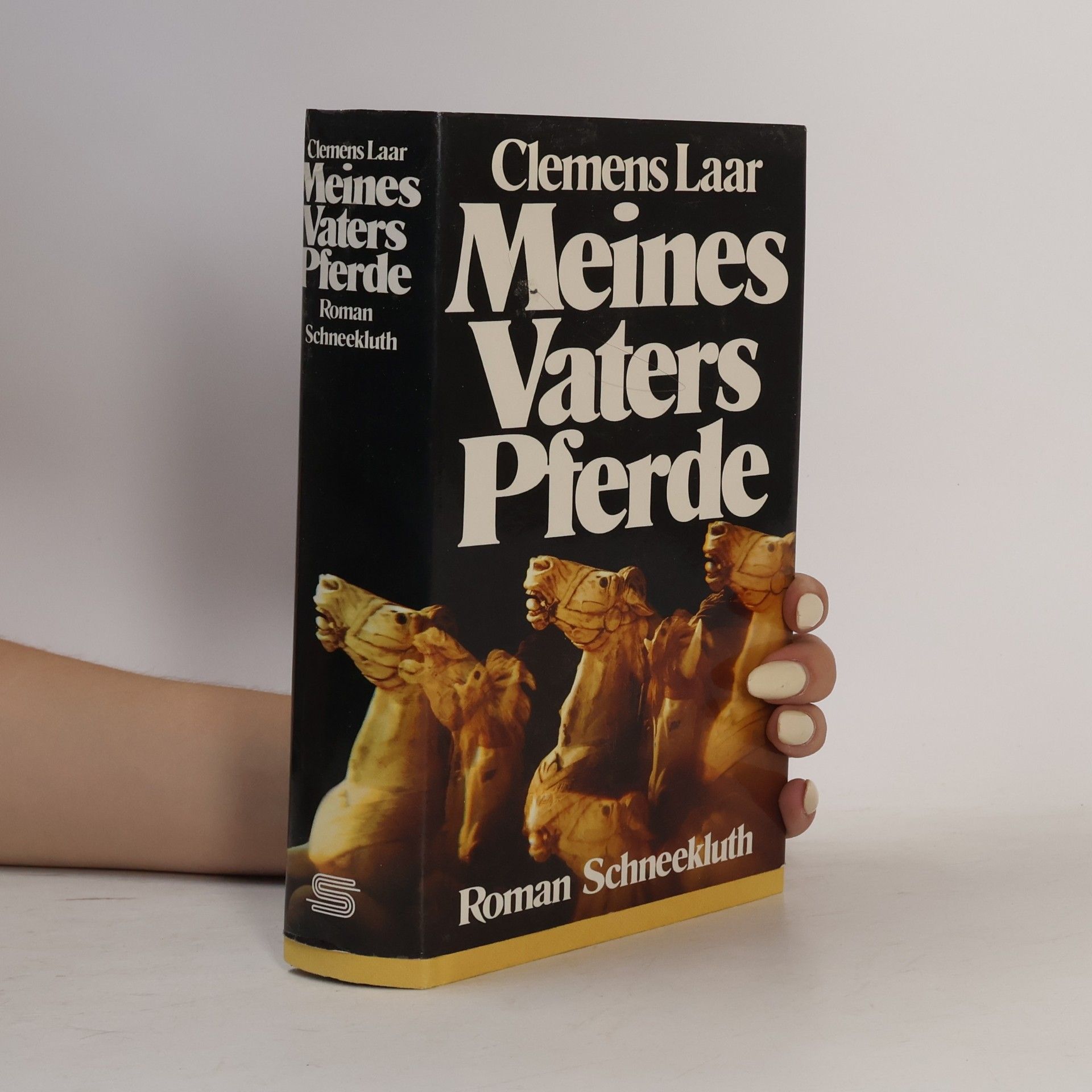 Clemens Laar Meines Vaters Pferde