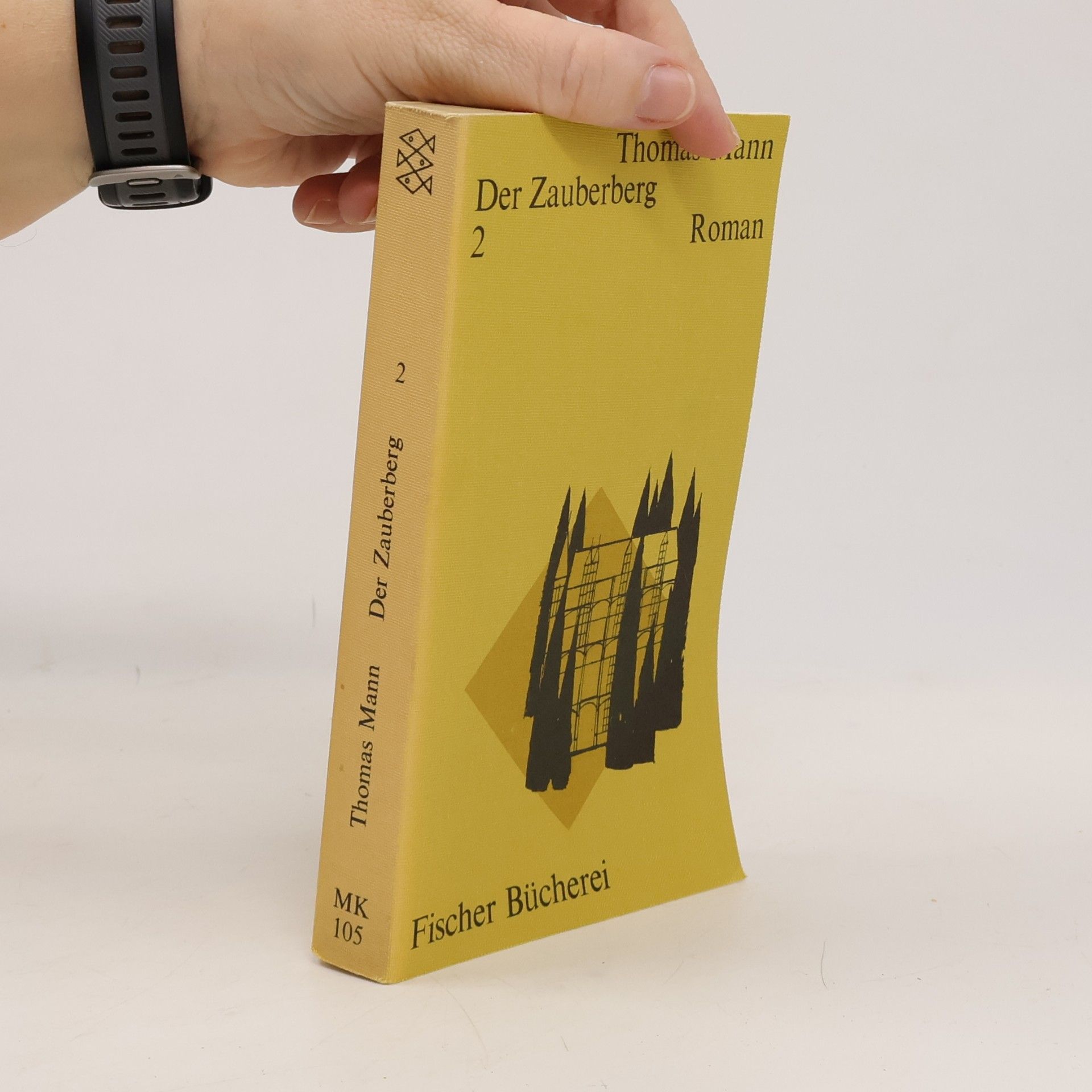 Thomas Mann Der Zauberberg 2