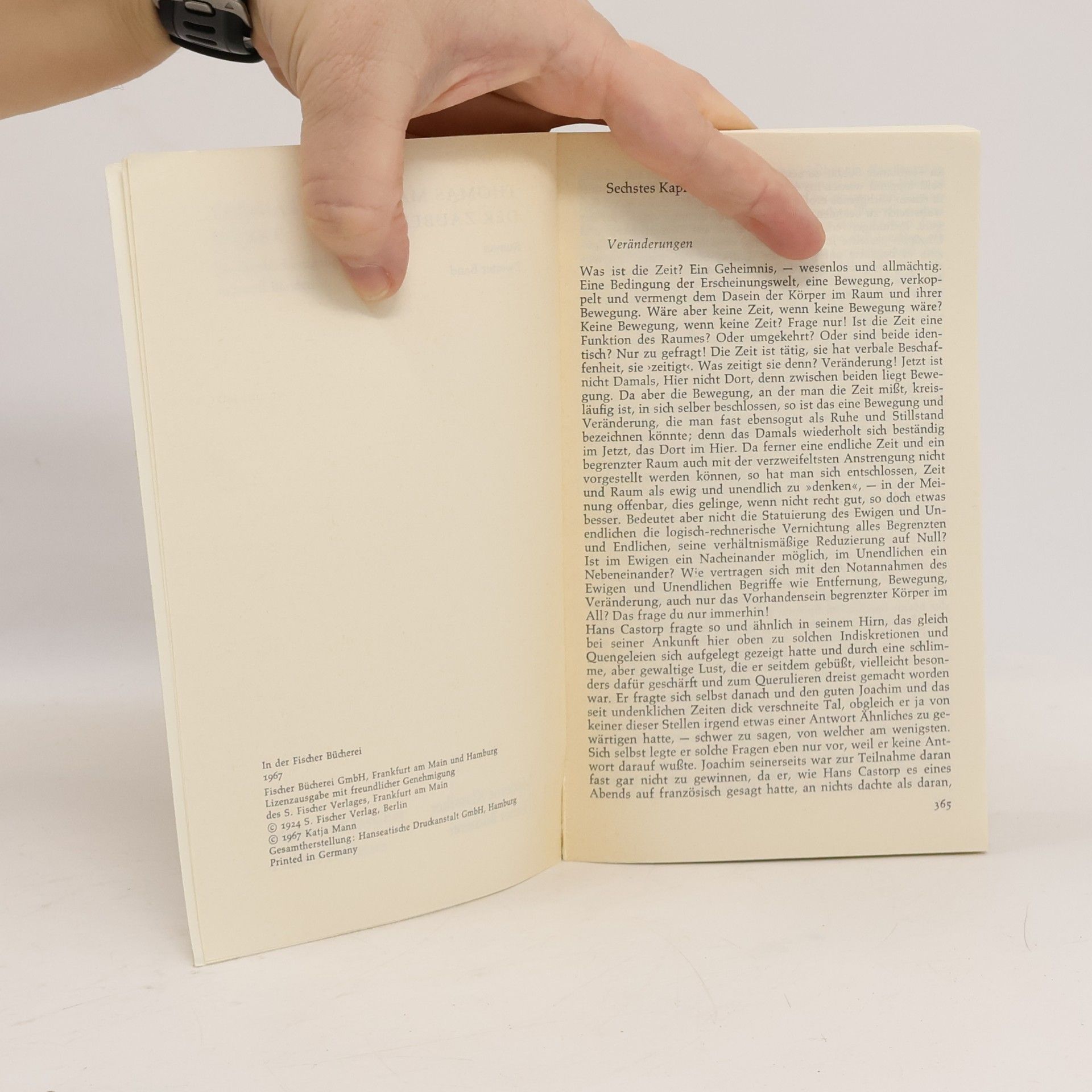 Thomas Mann Der Zauberberg 2