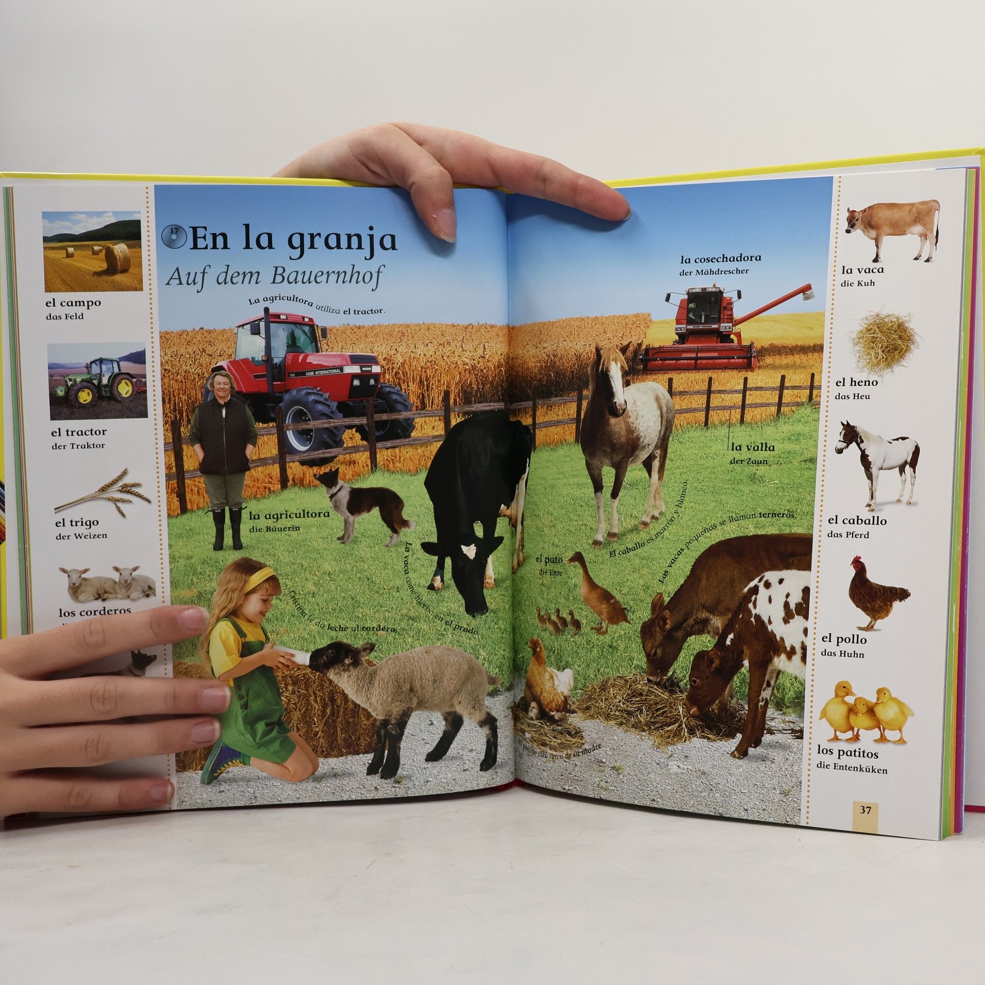 Dorling Kindersley Bildwörterbuch Spanisch, m. Audio-CD