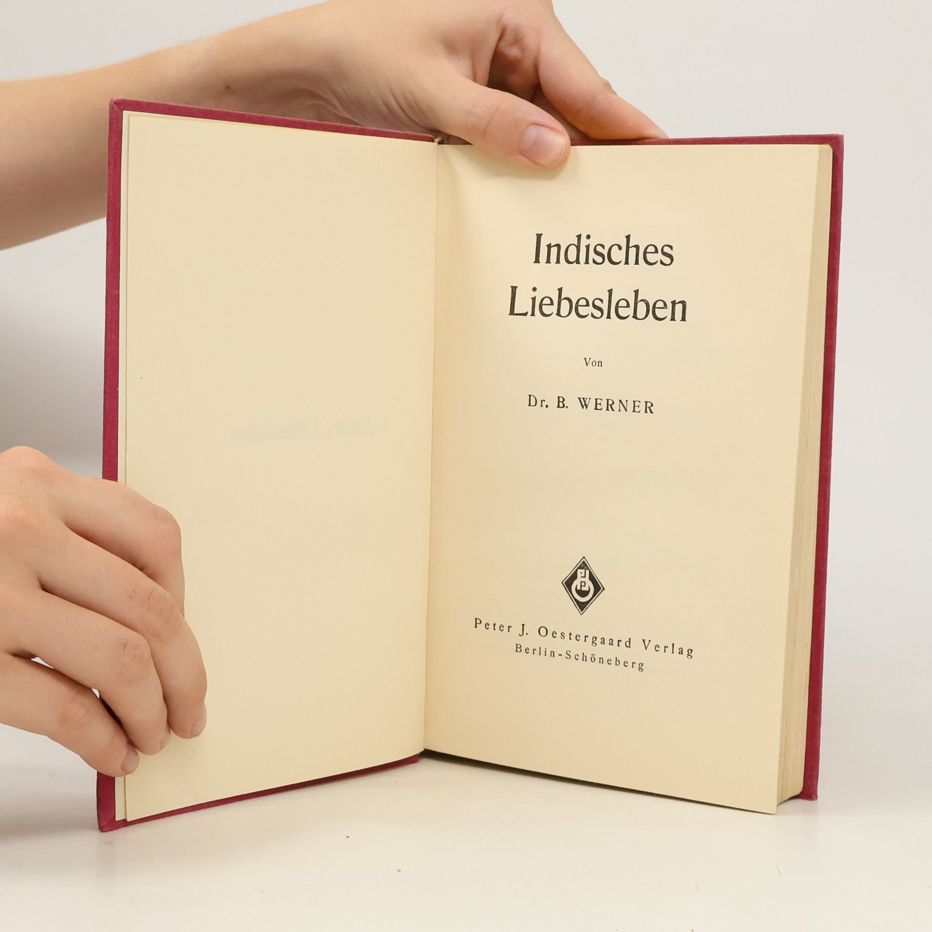 Autorenkollektiv Indisches Liebesleben