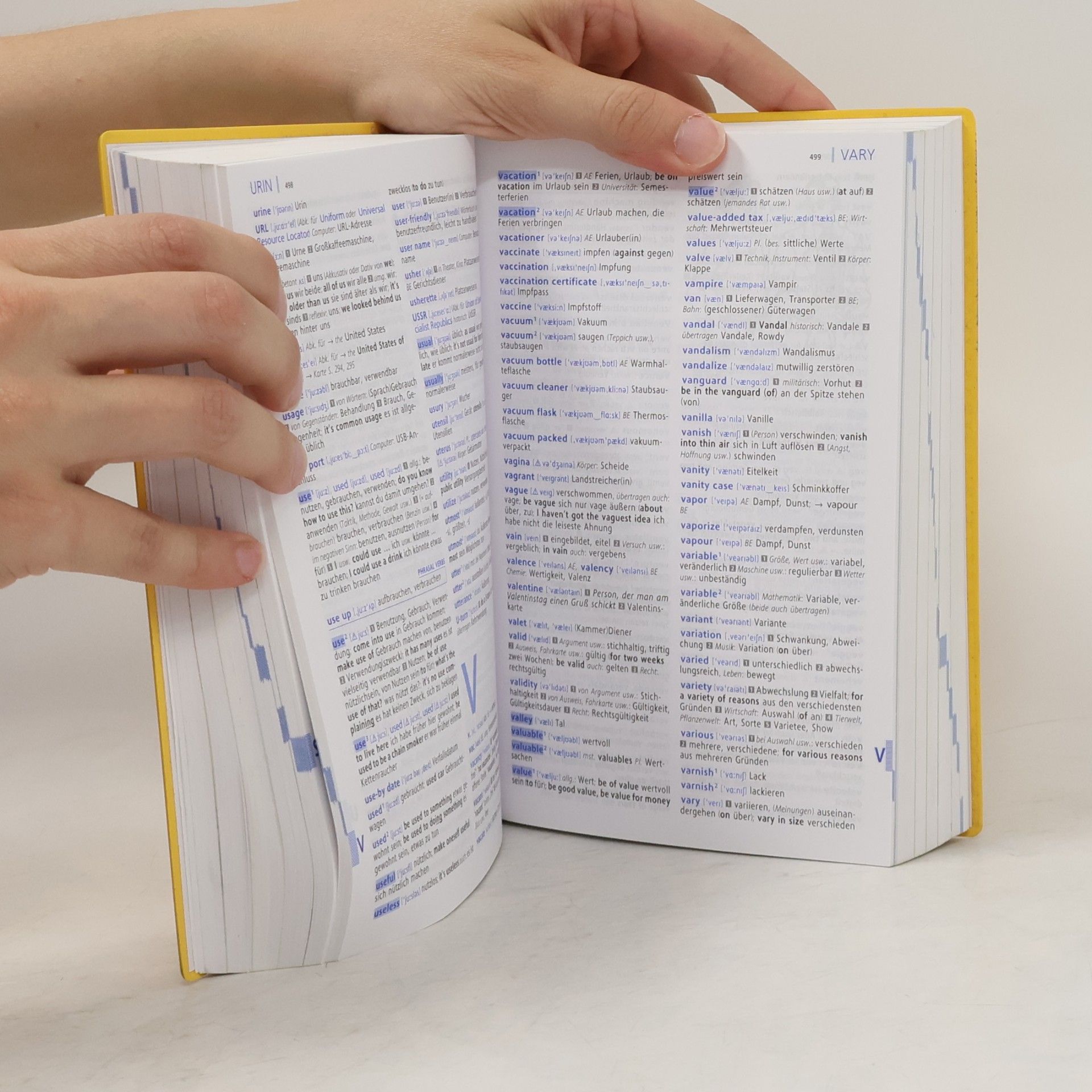 Wolfgang Walther Langenscheidt, Power dictionary Englisch