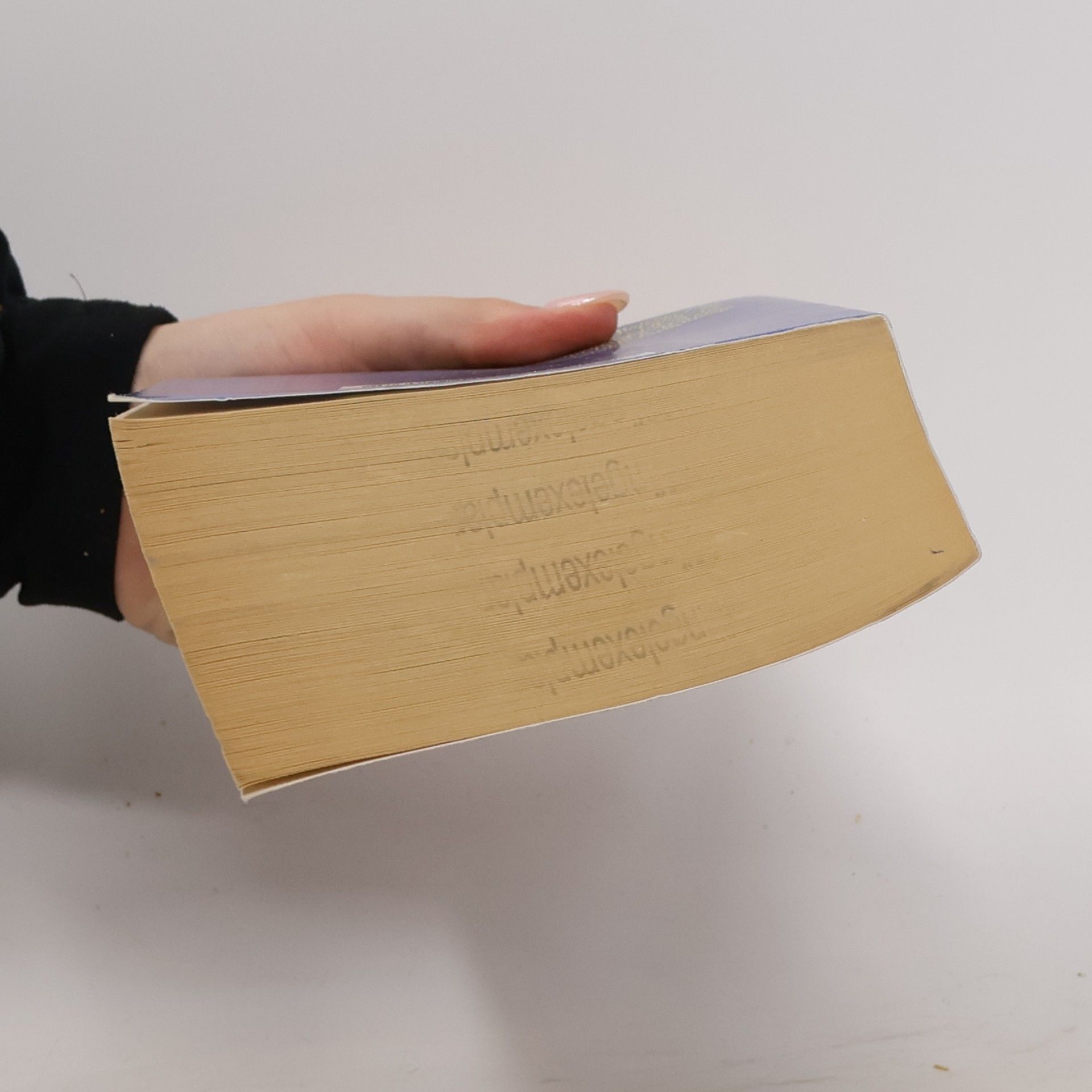 Mariangela Cerrino Die Seherin der Etrusker