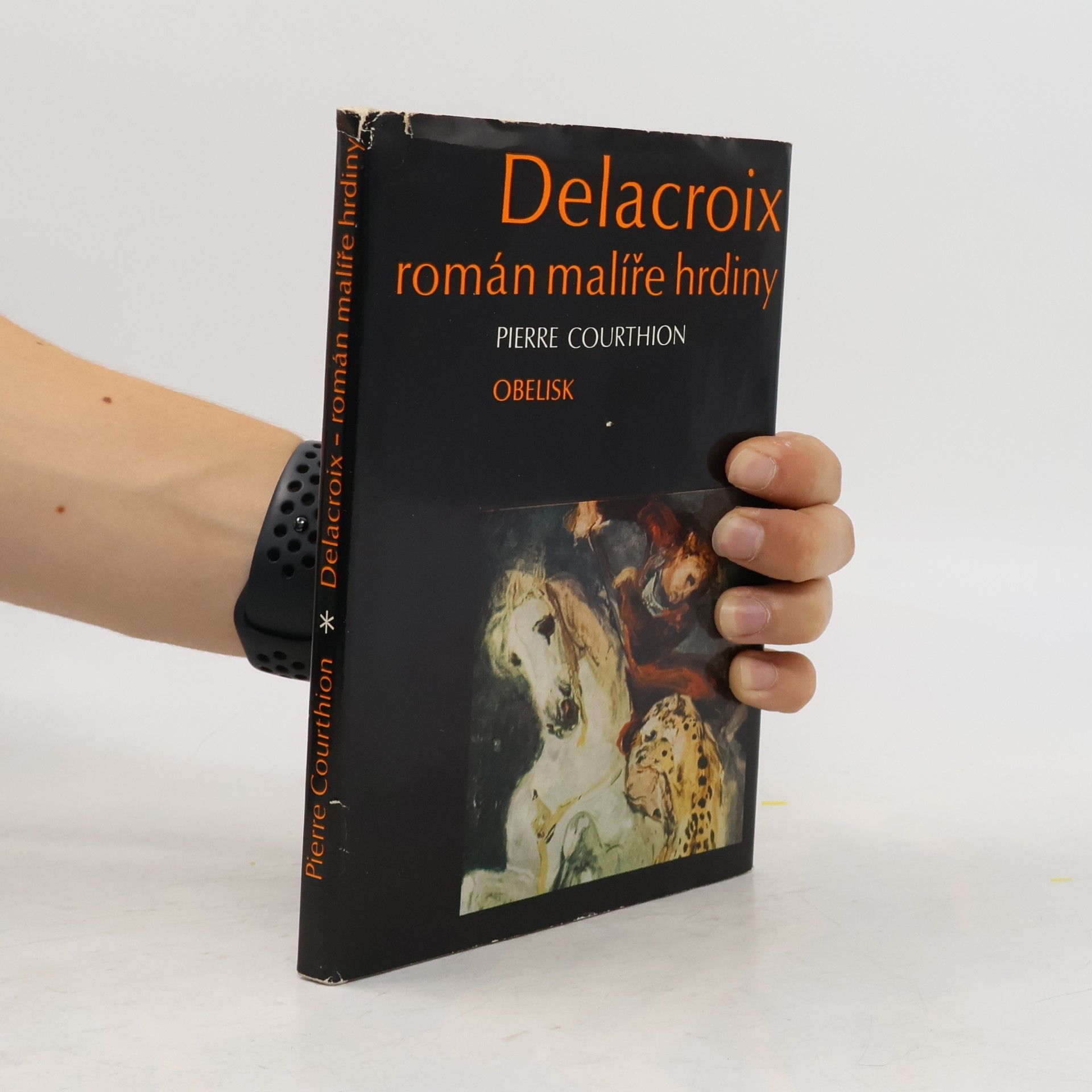 Pierre Courthion Delacroix. Román malíře hrdiny