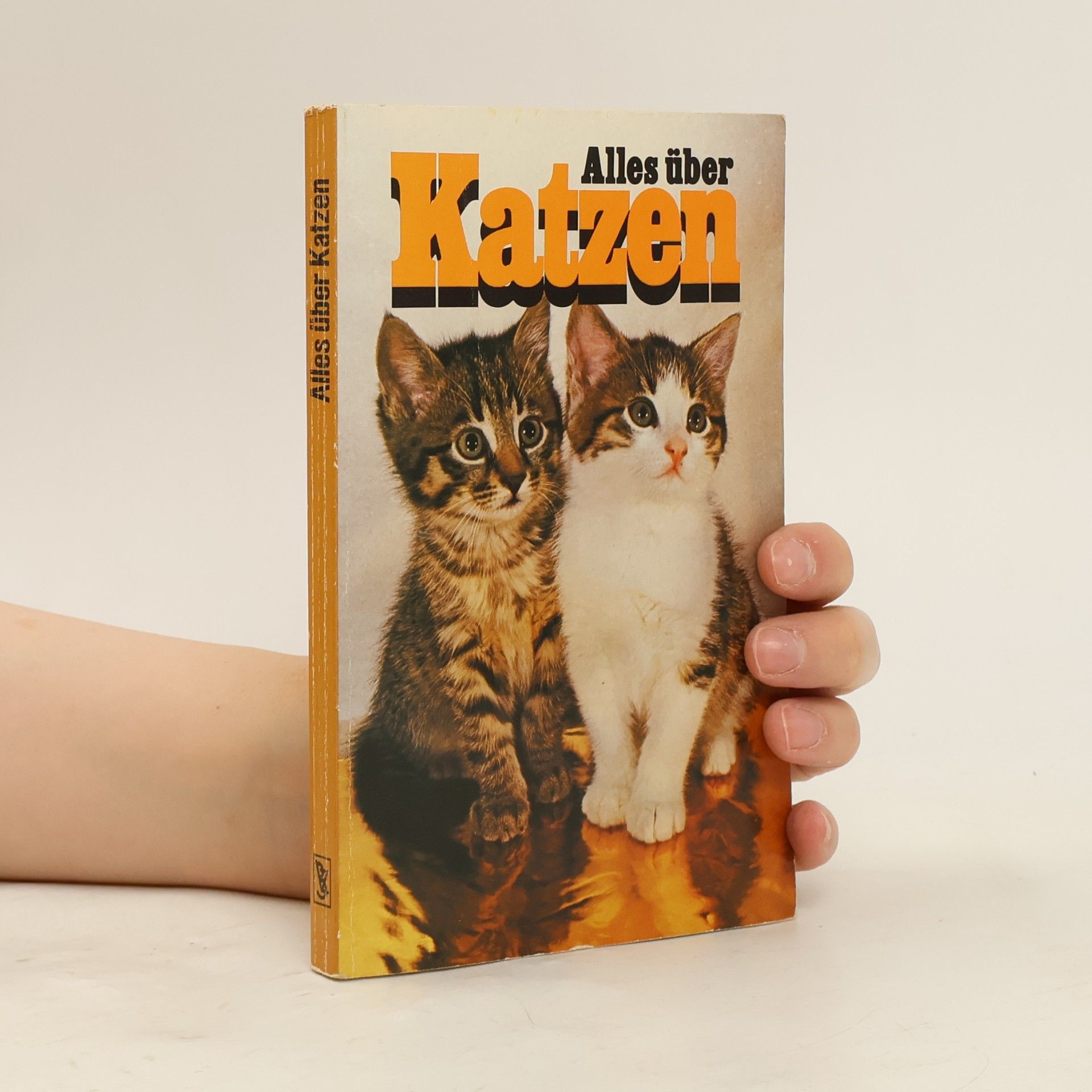 Autorenkollektiv Alles über Katzen