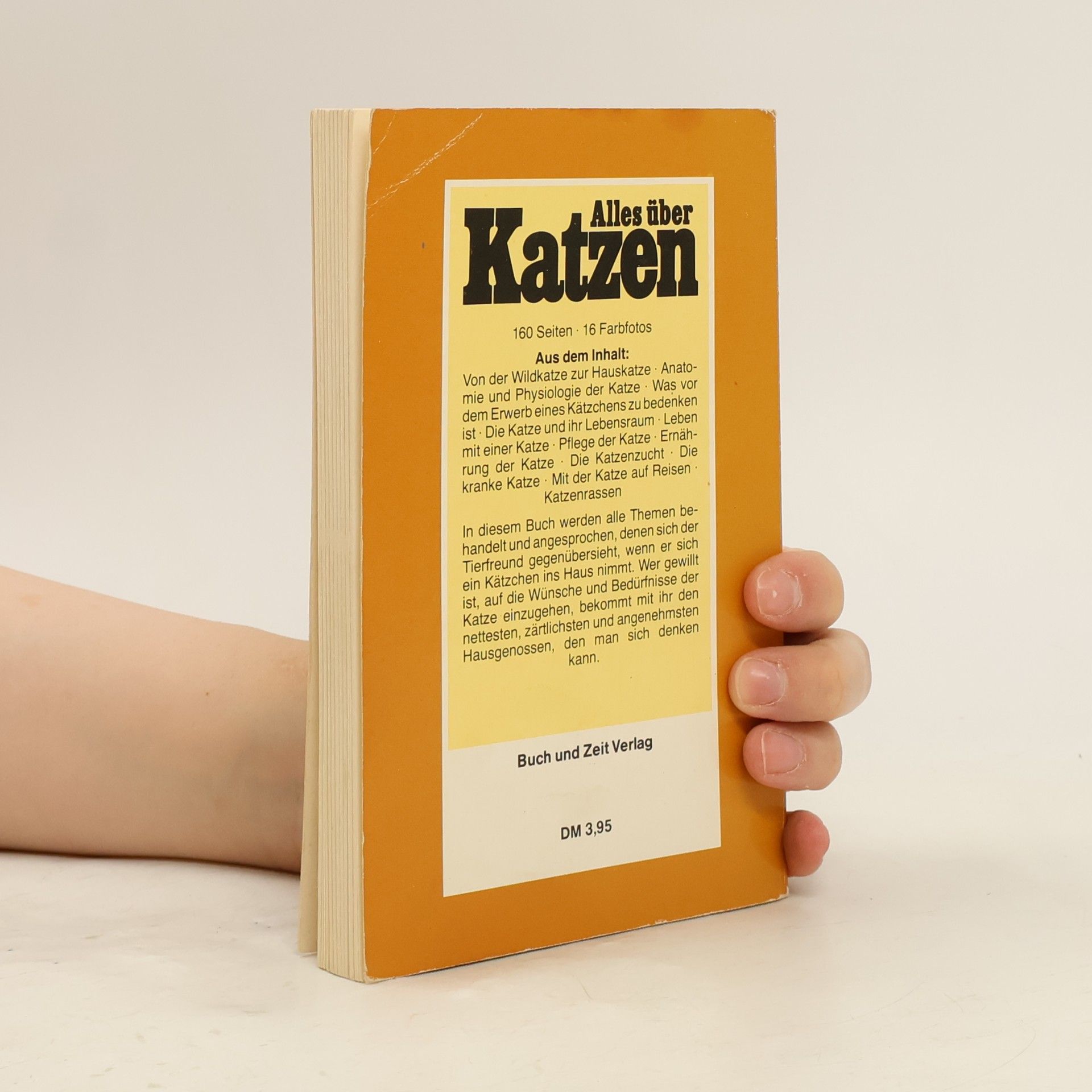 Autorenkollektiv Alles über Katzen