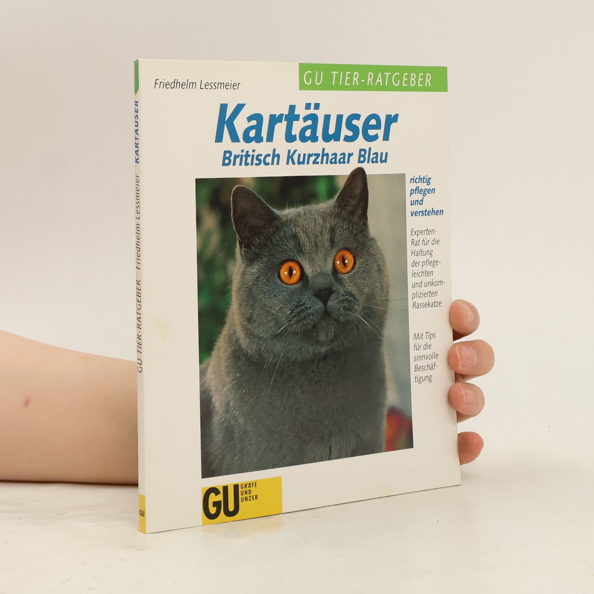 Friedhelm Lessmeier Kartäuser - Britisch Kurzhaar Blau richtig pflegen und verstehen