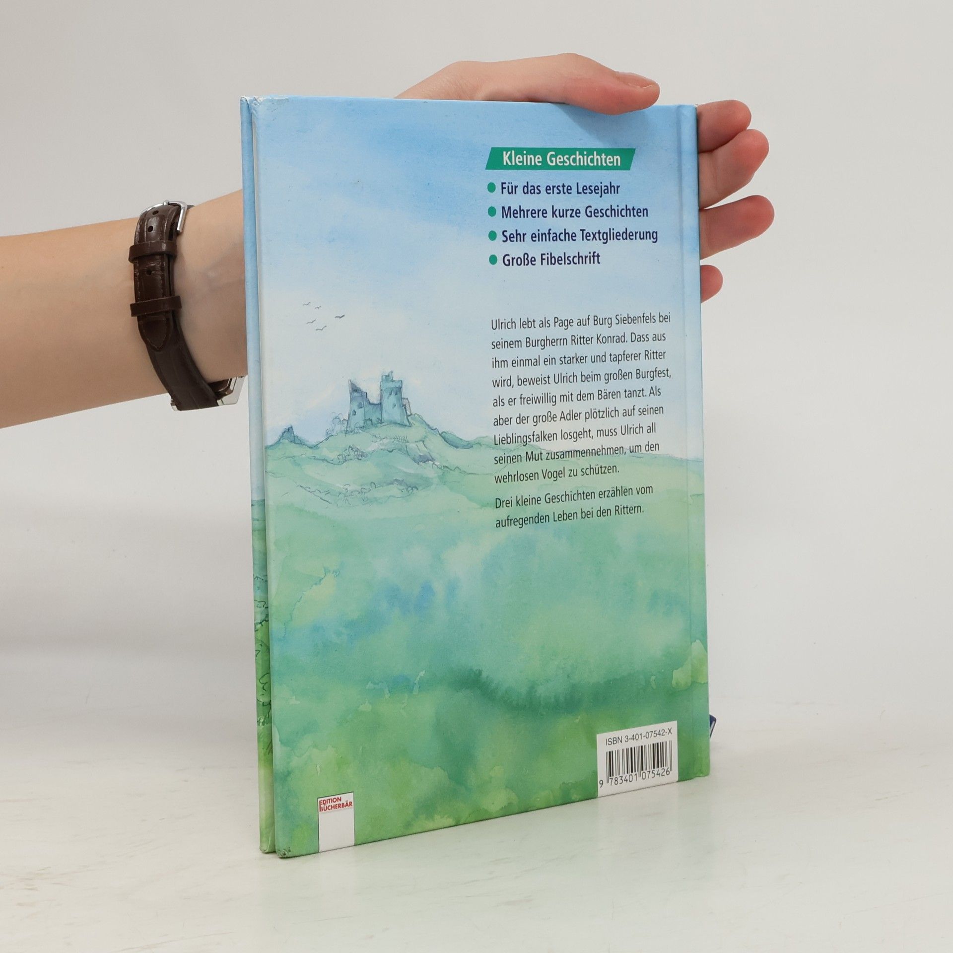 Insa Bauer Der Bücherbär: Rittergeschichten