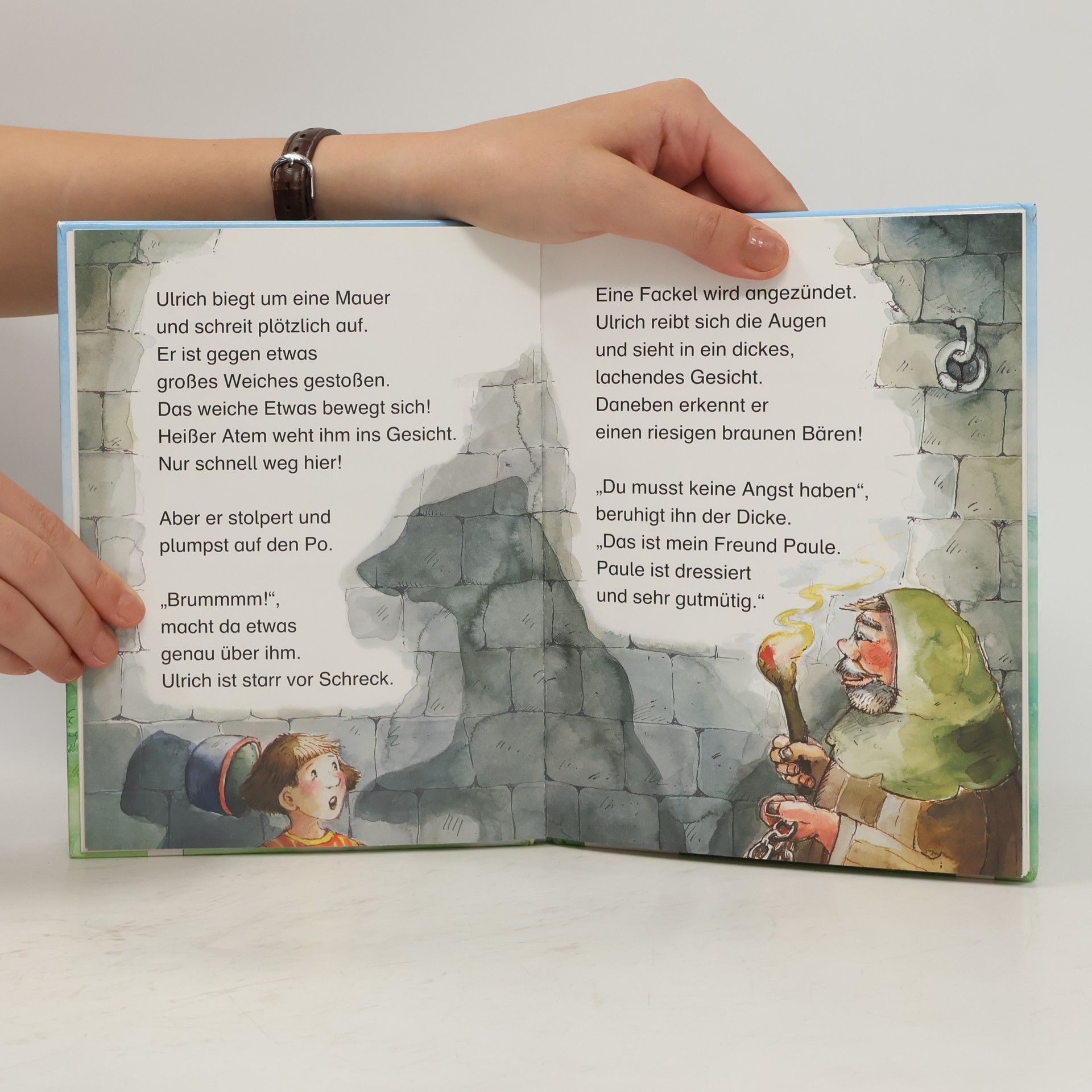 Insa Bauer Der Bücherbär: Rittergeschichten