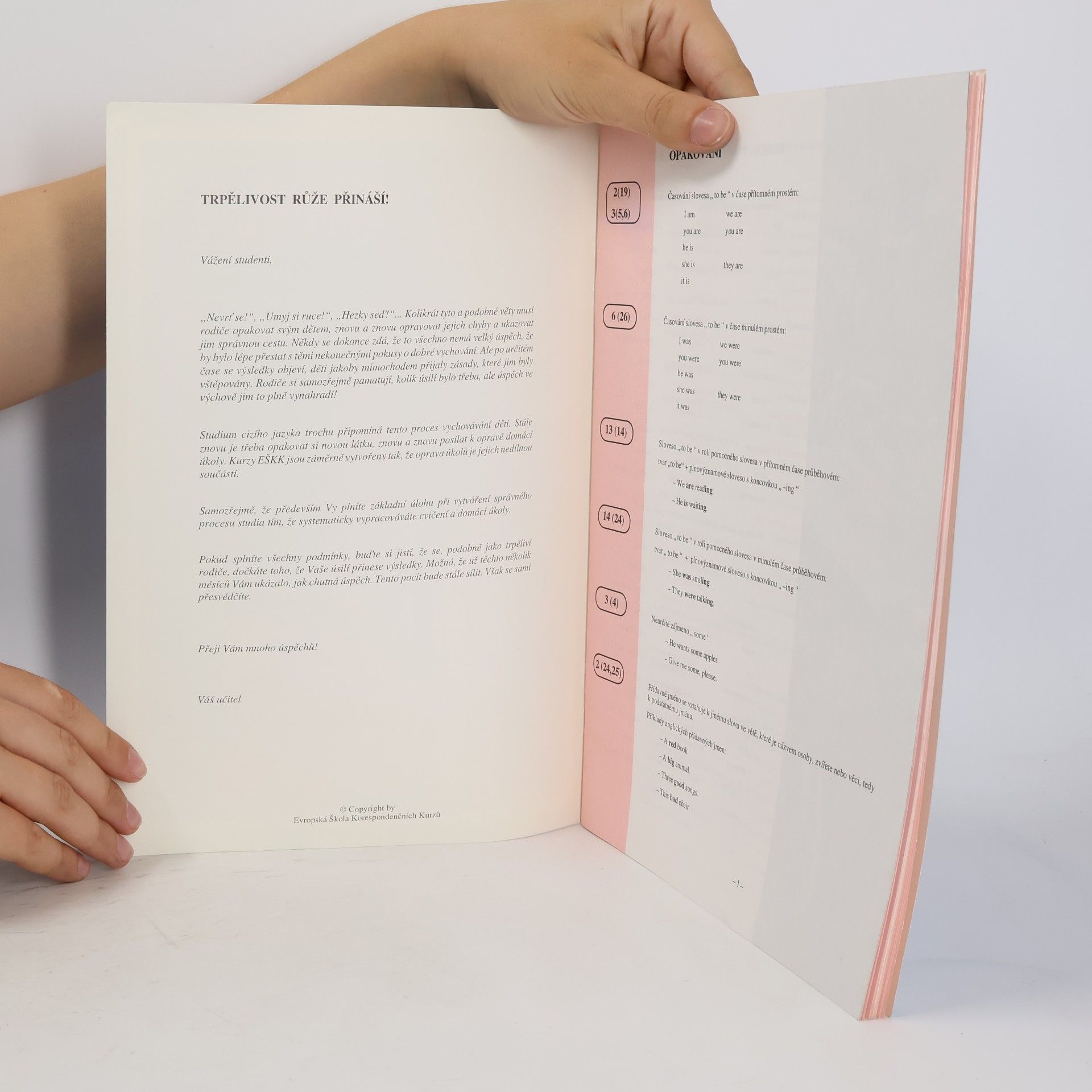 Various authors Angličtina pro začátečníky. Lekce 17 a 18