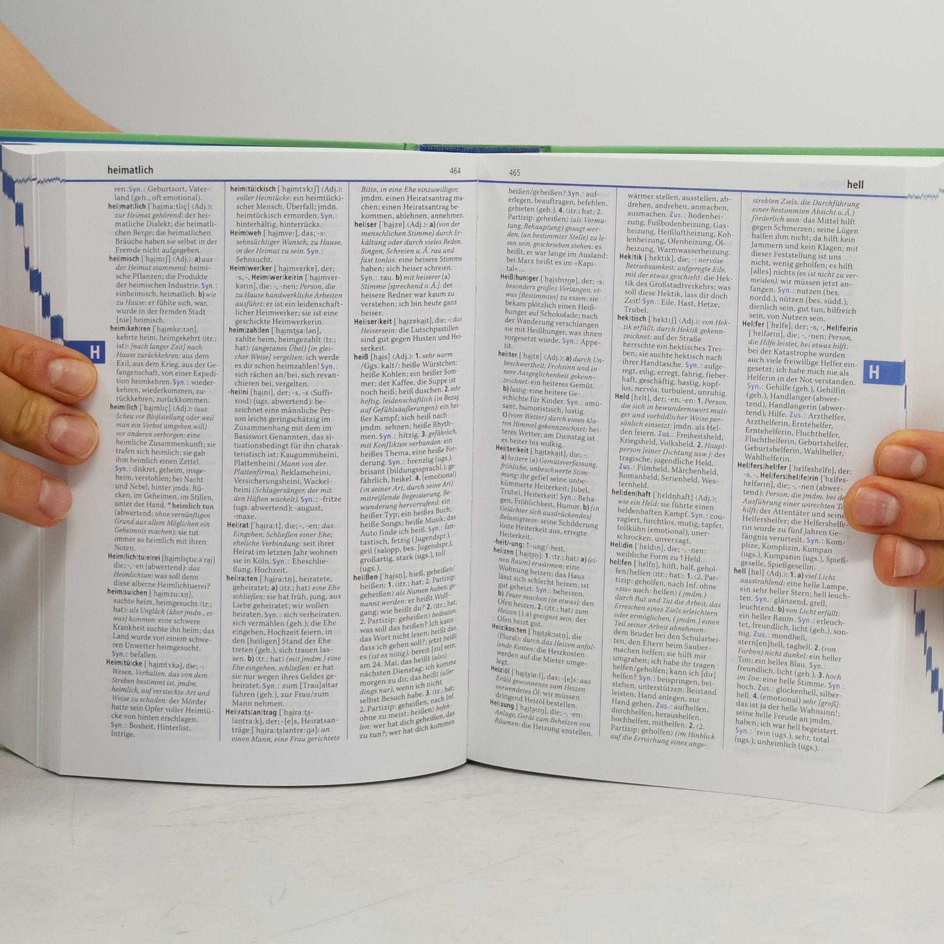 Kolektiv autorů Duden. Band 10, Das Bedeutungswörterbuch
