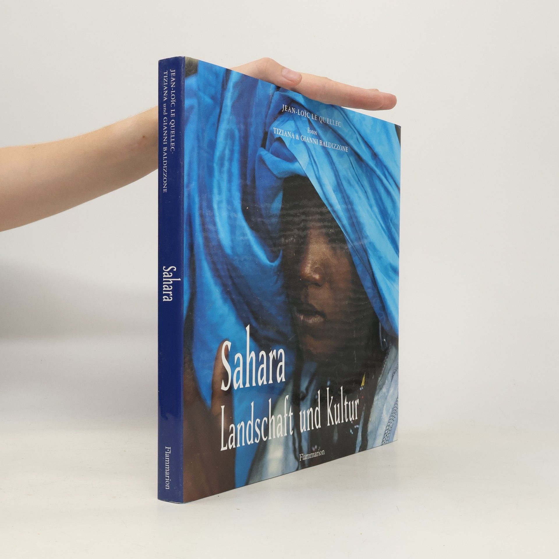 Jean-Loïc Le Quellec Sahara - Landschaft und Kultur