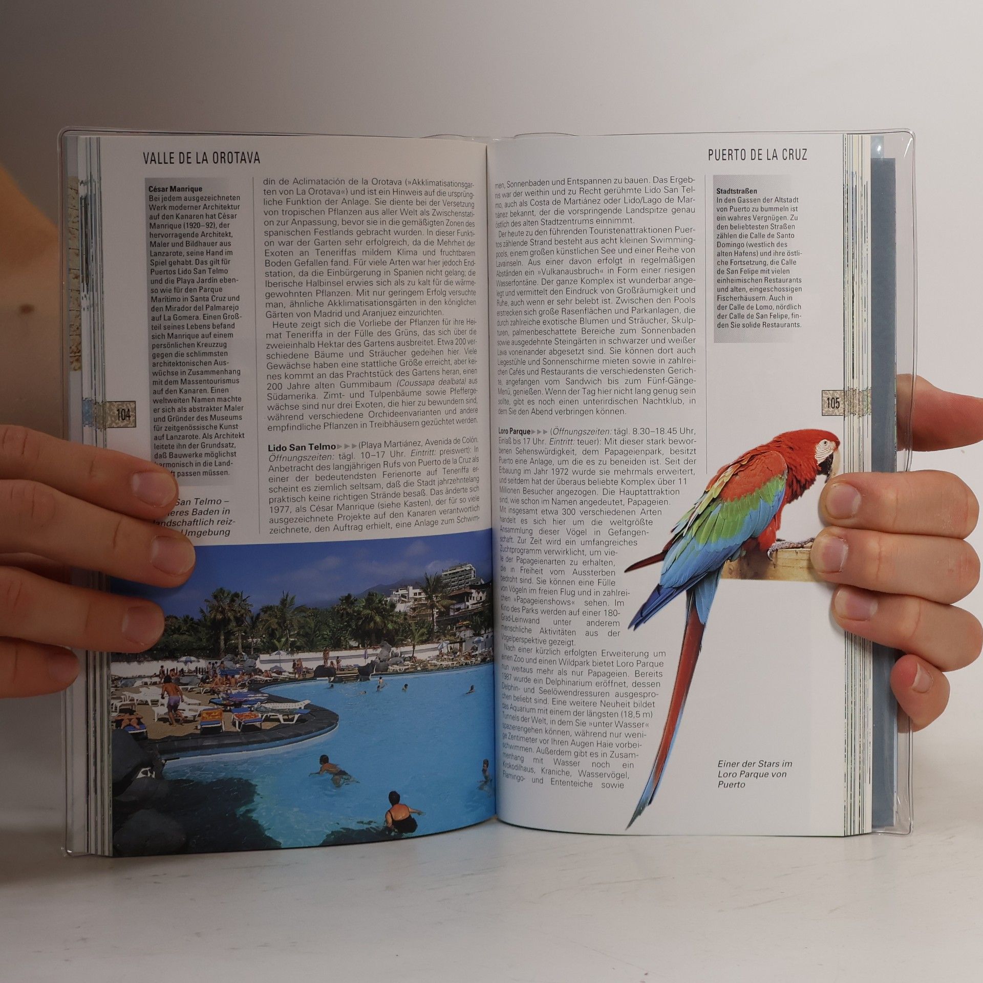 Tim Jepson Viva Guide: Teneriffa