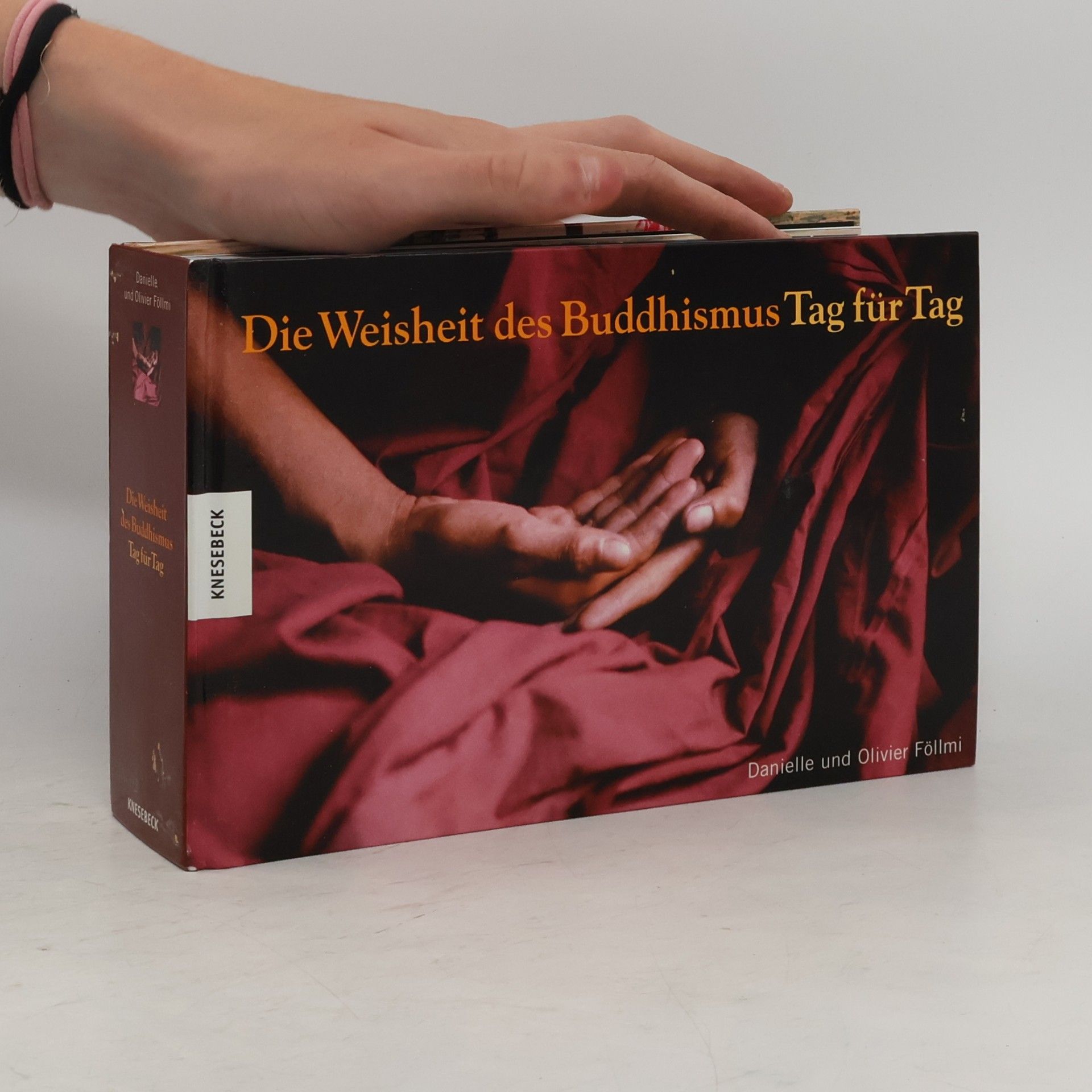 Danielle Föllmi Die Weisheit des Buddhismus Tag für Tag