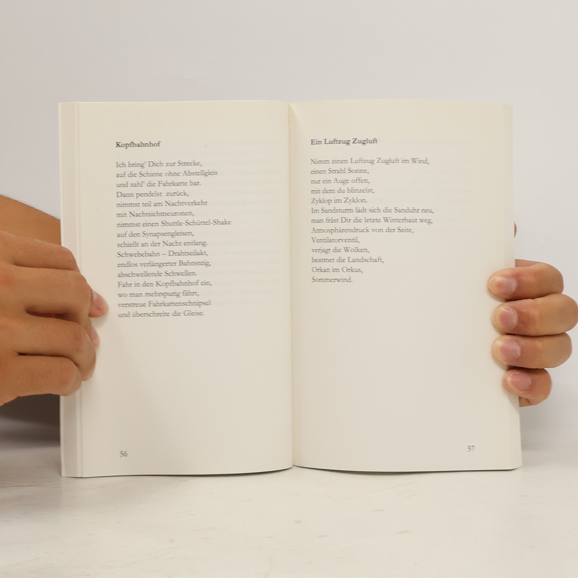 Paul-Hermann Gruner Literaturgruppe Poseidon: Zug um Zug