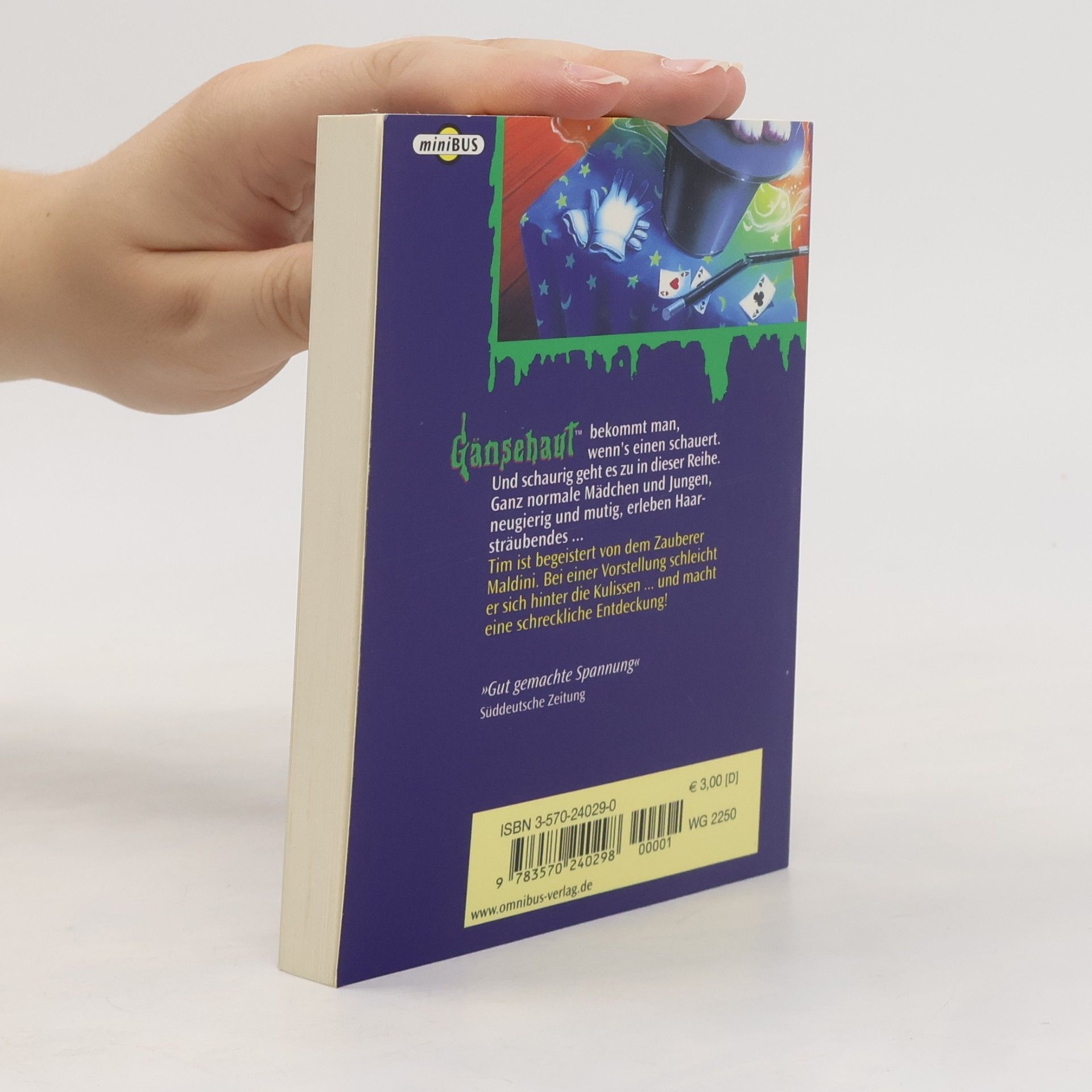 R. L. Stine Der Gruselzauber