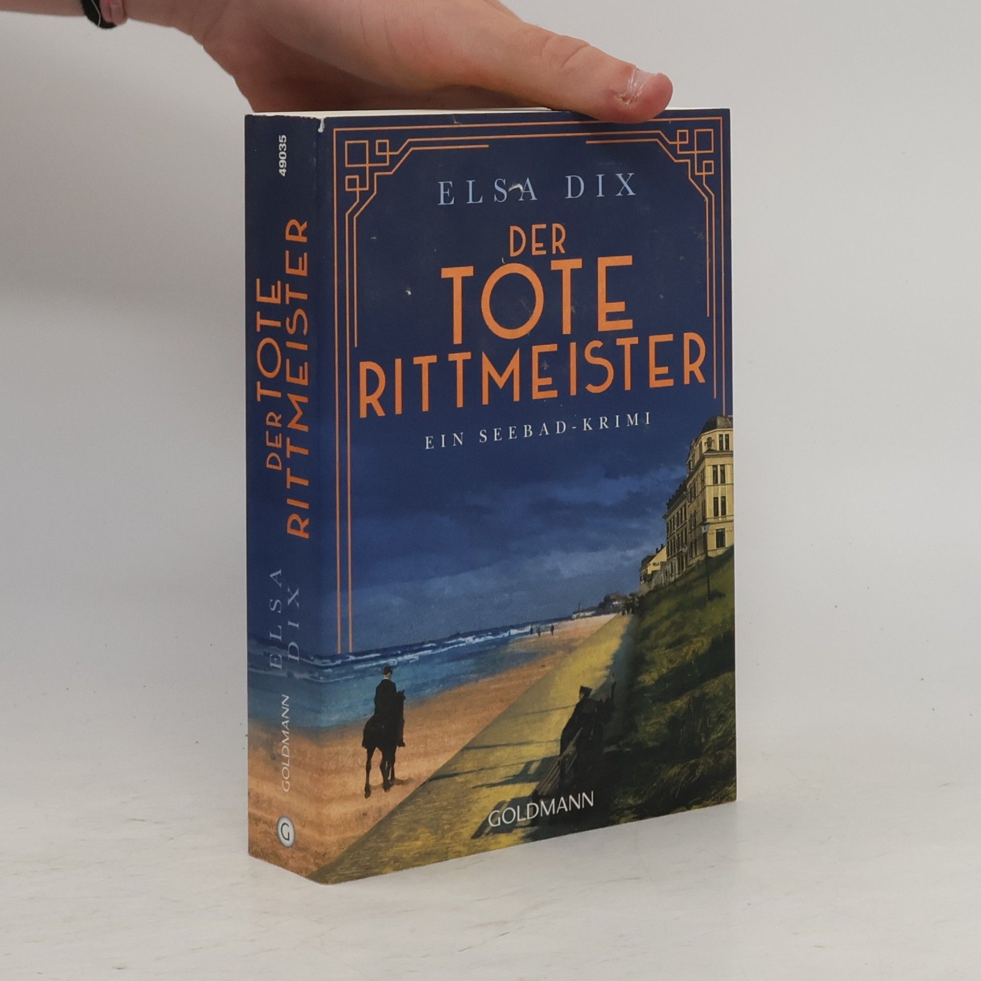 Elsa Dix Der tote Rittmeister