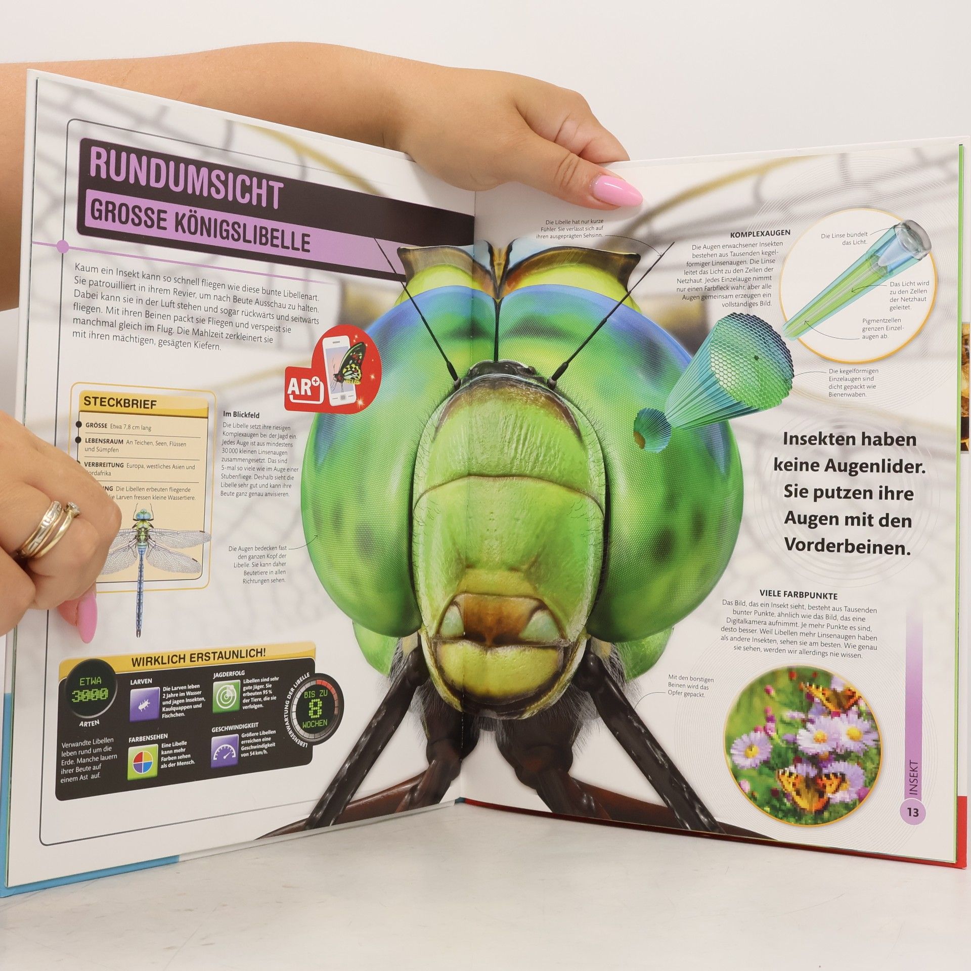 Autorenkollektiv Super Insekten