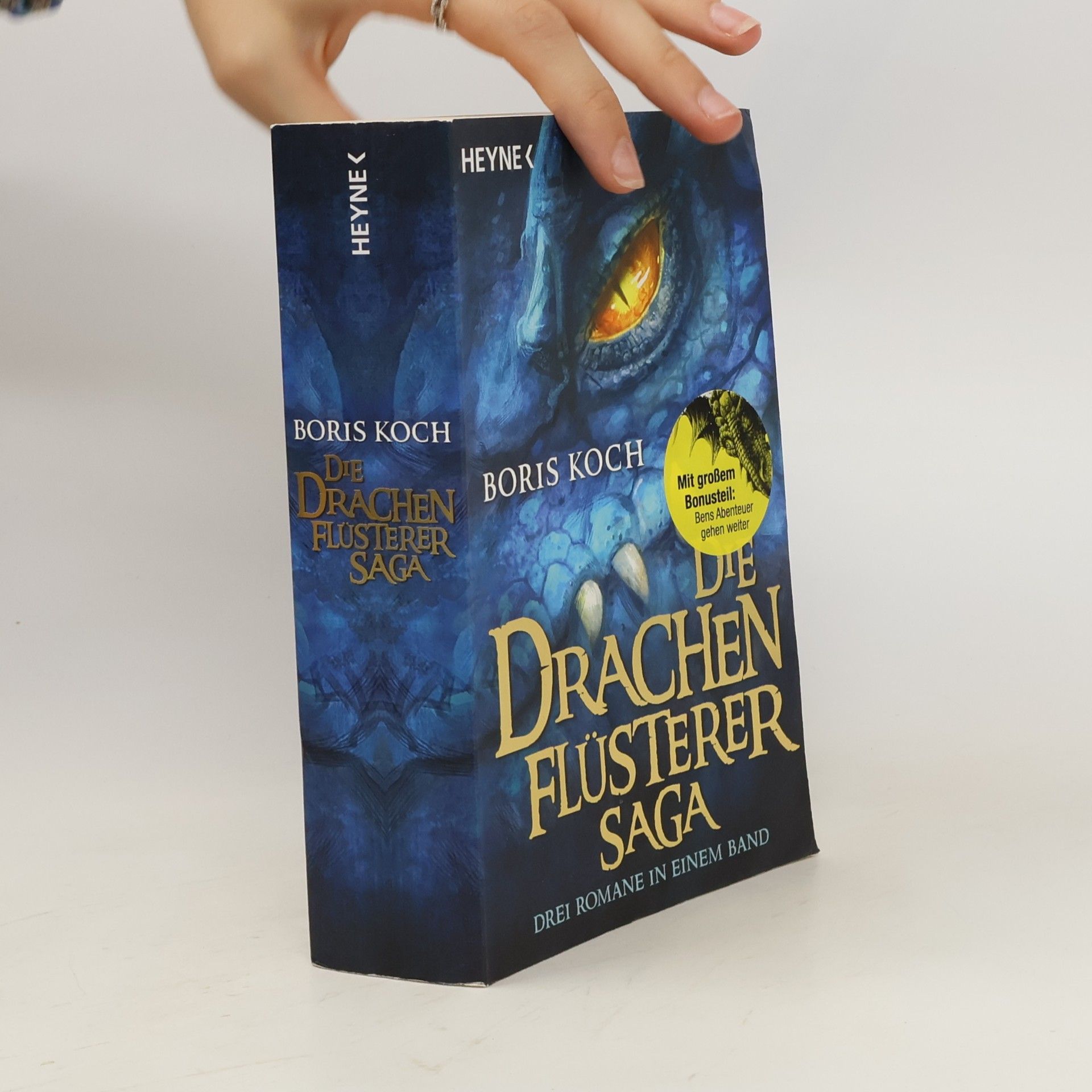 Boris Koch Die Drachenflüsterer-Saga