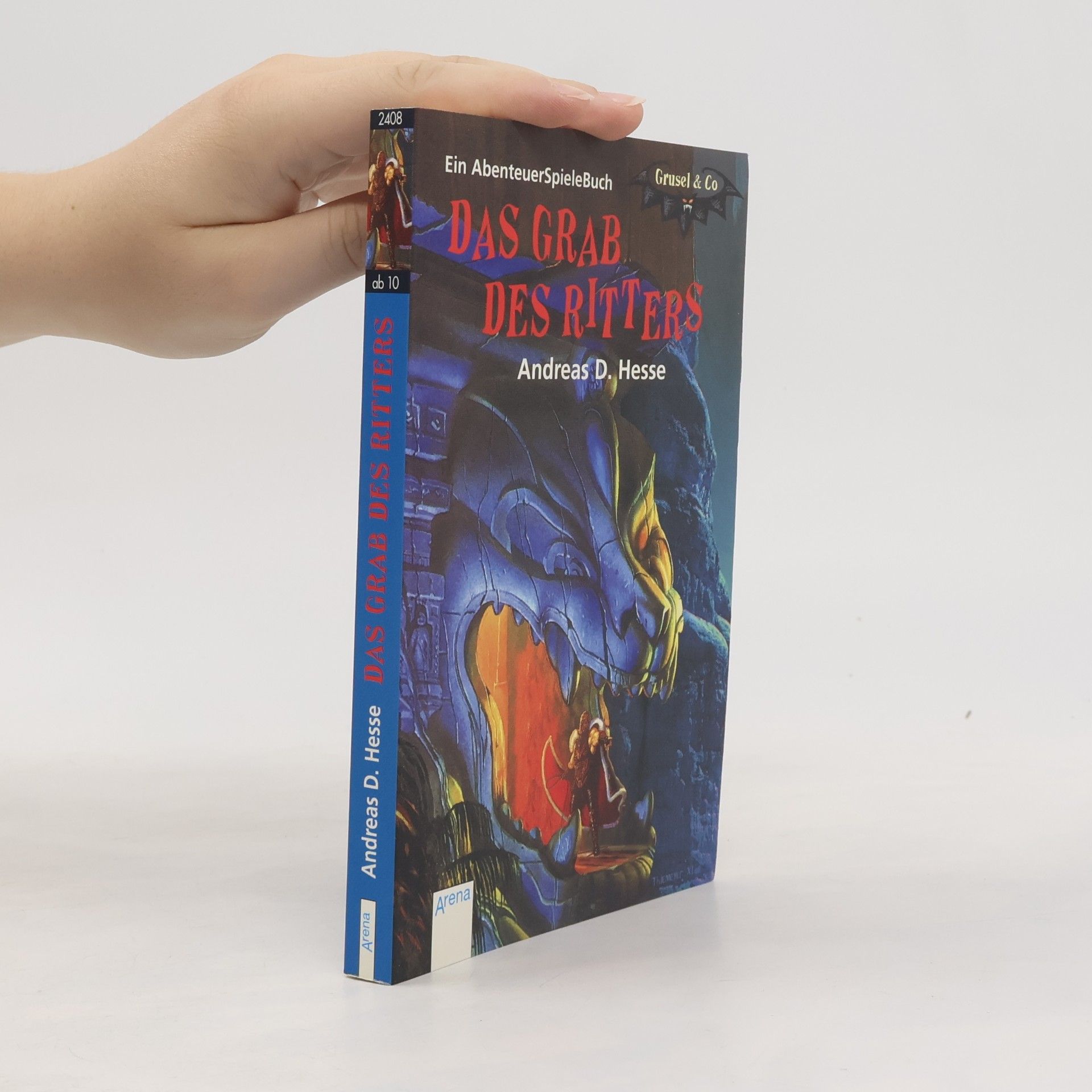 Andreas D. Hesse Das Grab des Ritters. Ein AbenteuerSpieleBuch