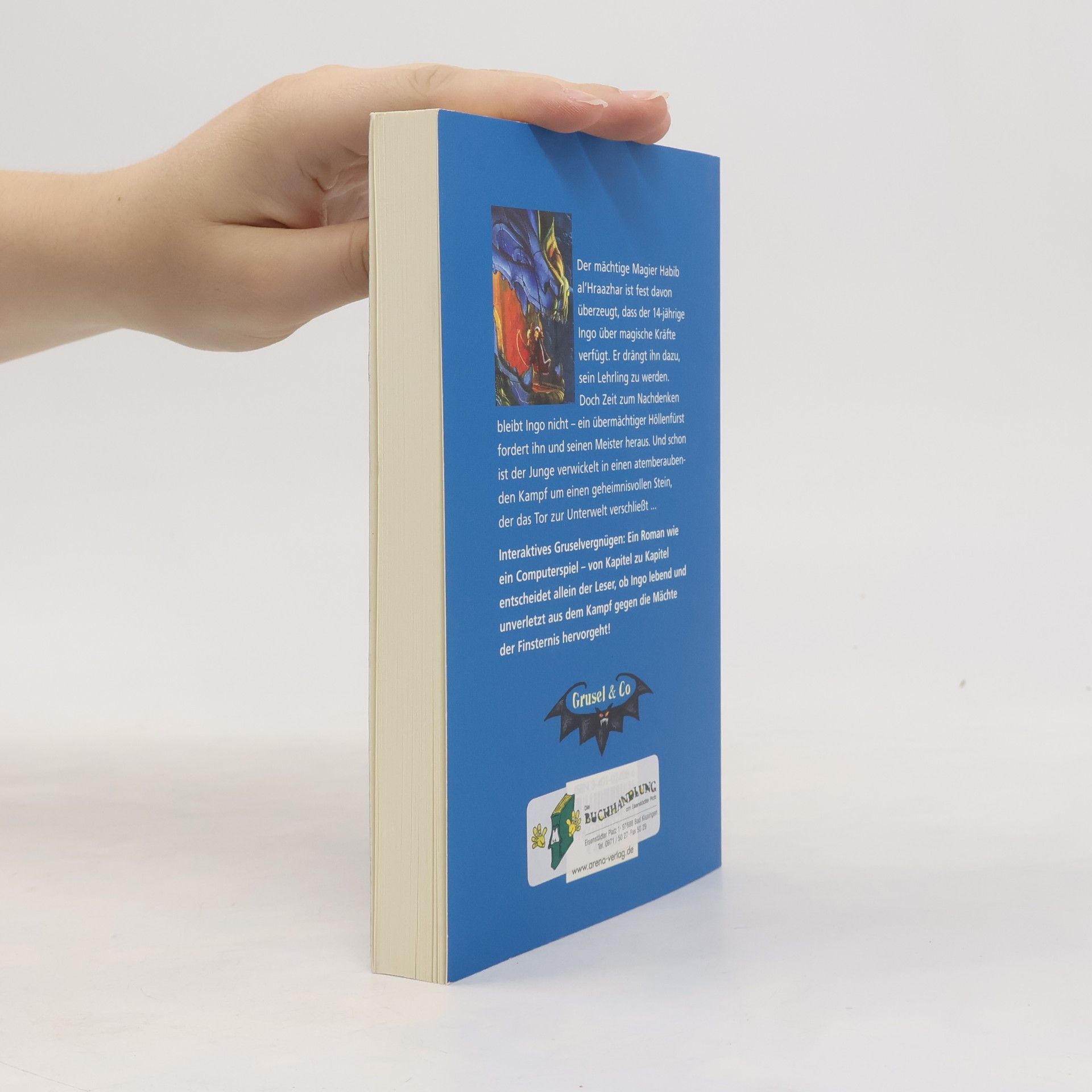 Andreas D. Hesse Das Grab des Ritters. Ein AbenteuerSpieleBuch