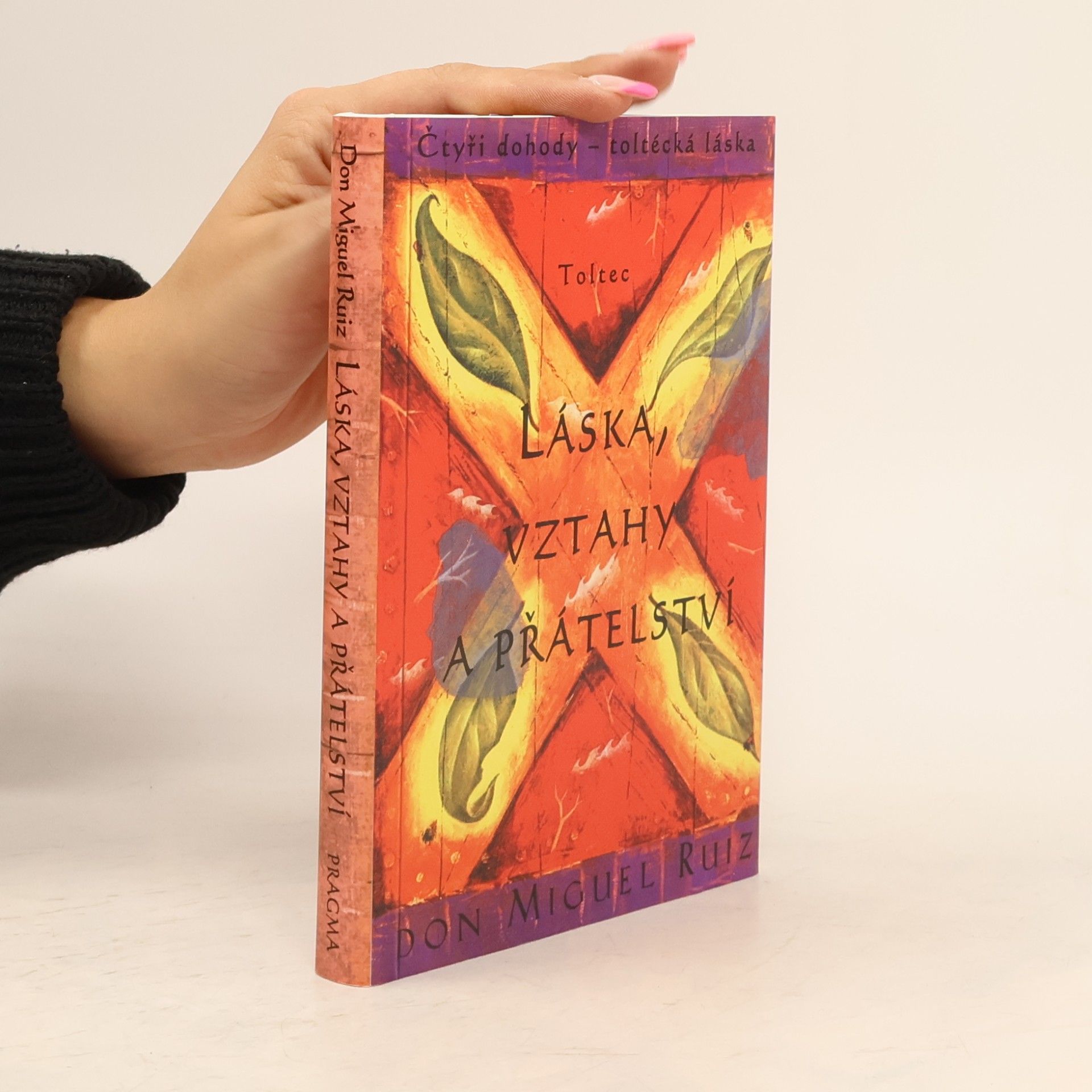 Don Miguel Ruiz Láska, vztahy a přátelství