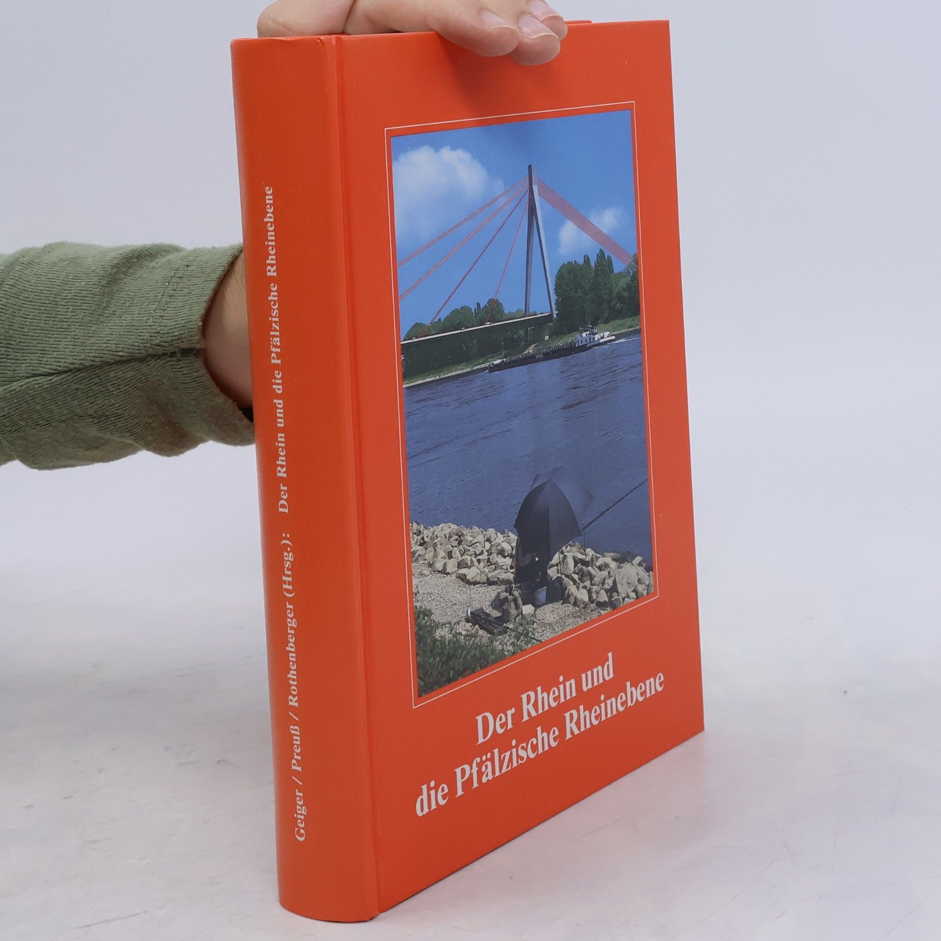 Der Rhein und die Pfälzische Rheinebene