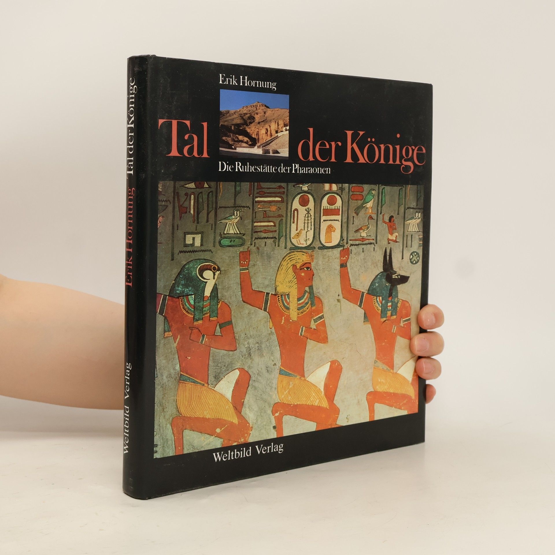 Erik Hornung Tal der Könige
