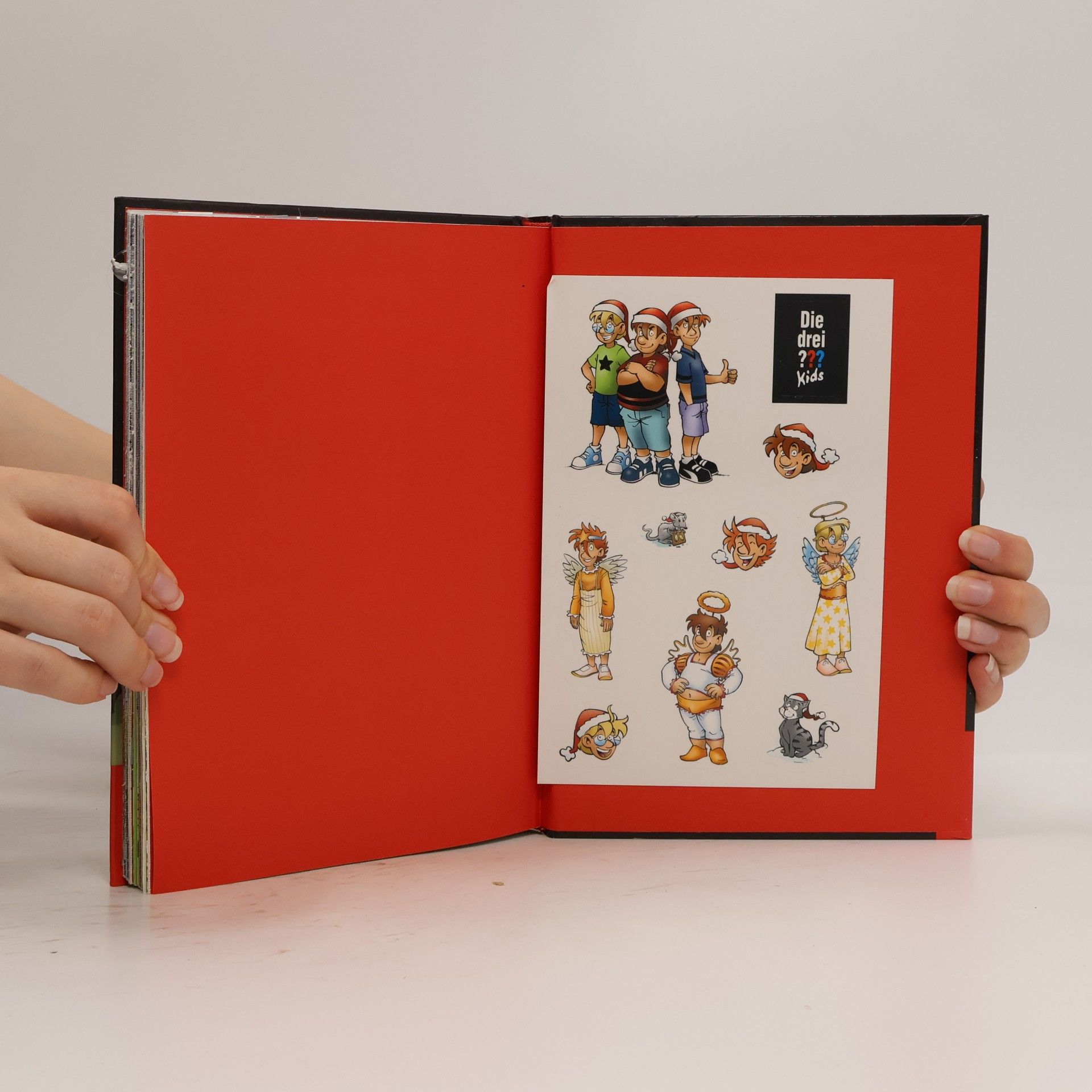 Autorenkollektiv Der Adventskalender: Ein Rätsel in 24 Tagen!