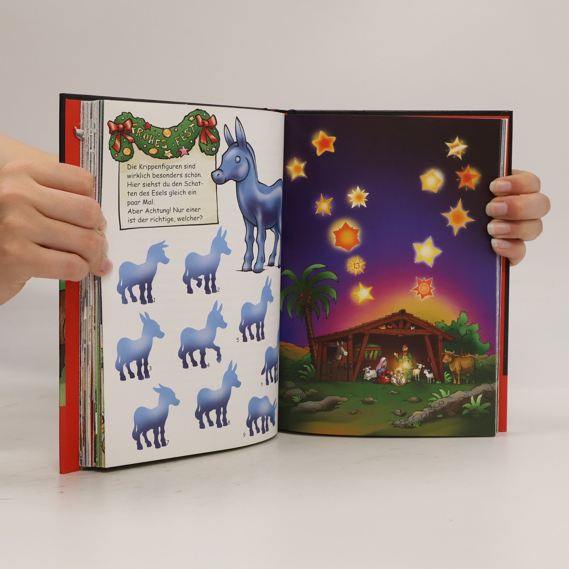 Autorenkollektiv Der Adventskalender: Ein Rätsel in 24 Tagen!