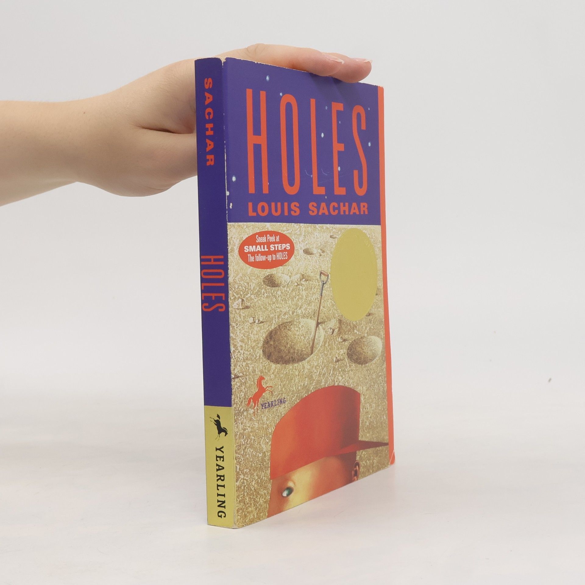 Louis Sachar Holes