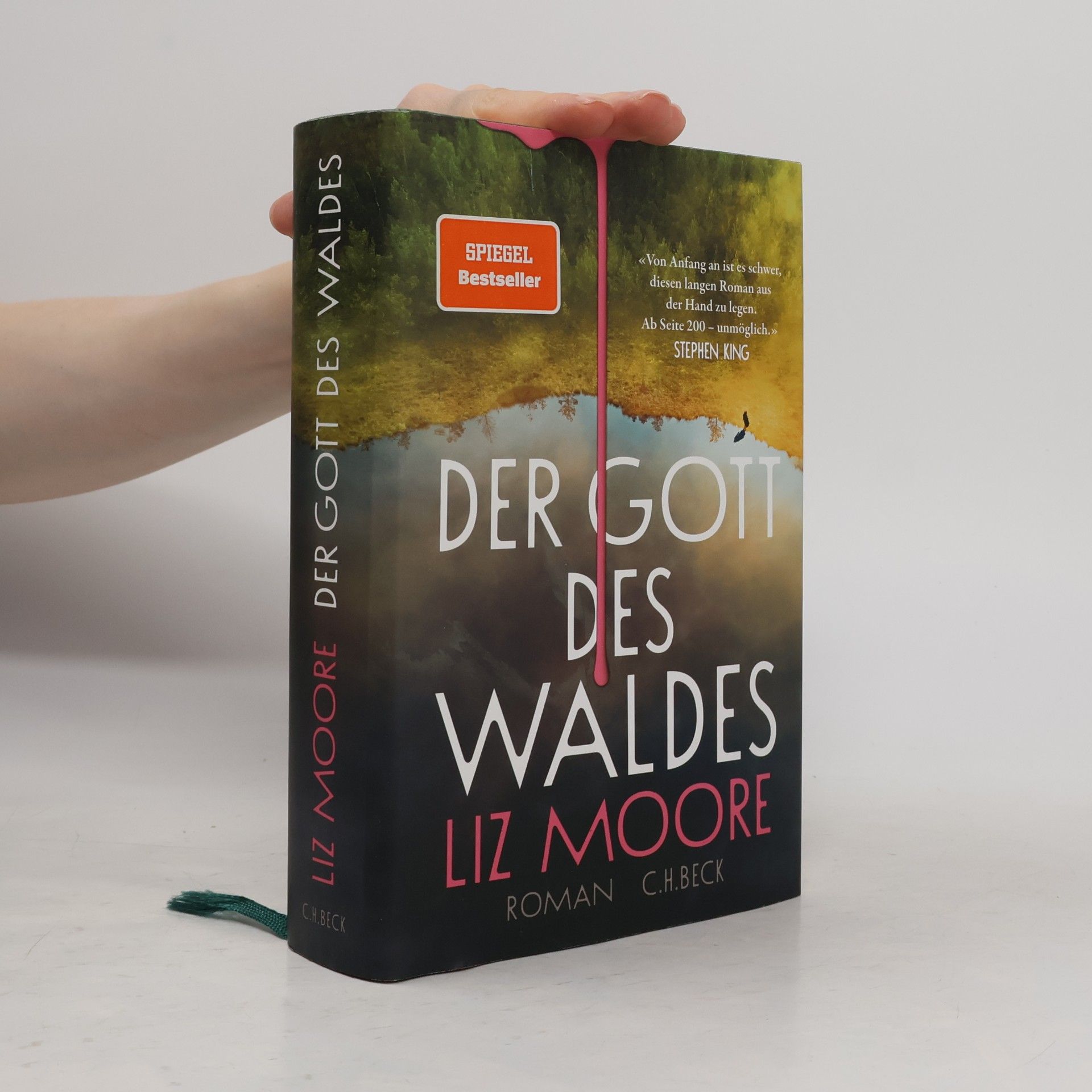 Liz Moore Der Gott des Waldes