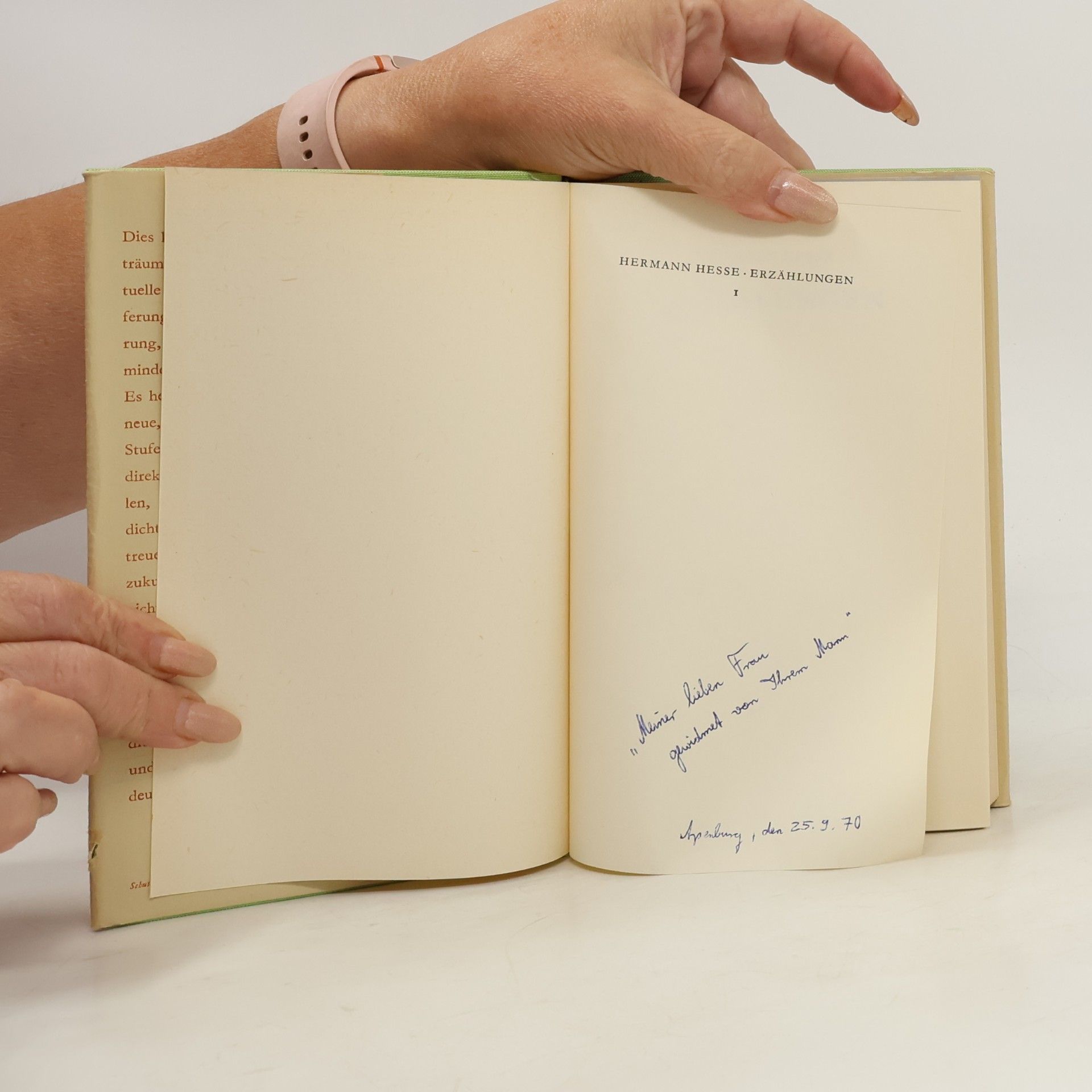 Hermann Hesse Erzählungen 1