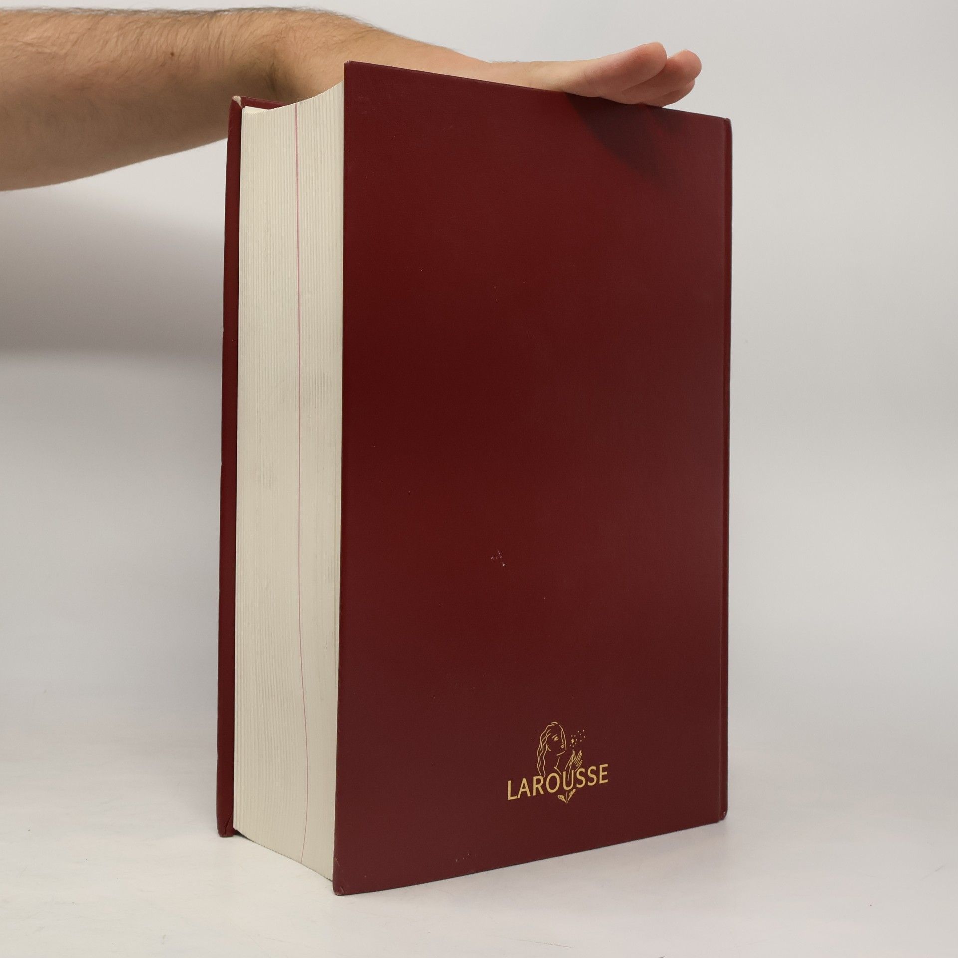Petit Larousse grand format