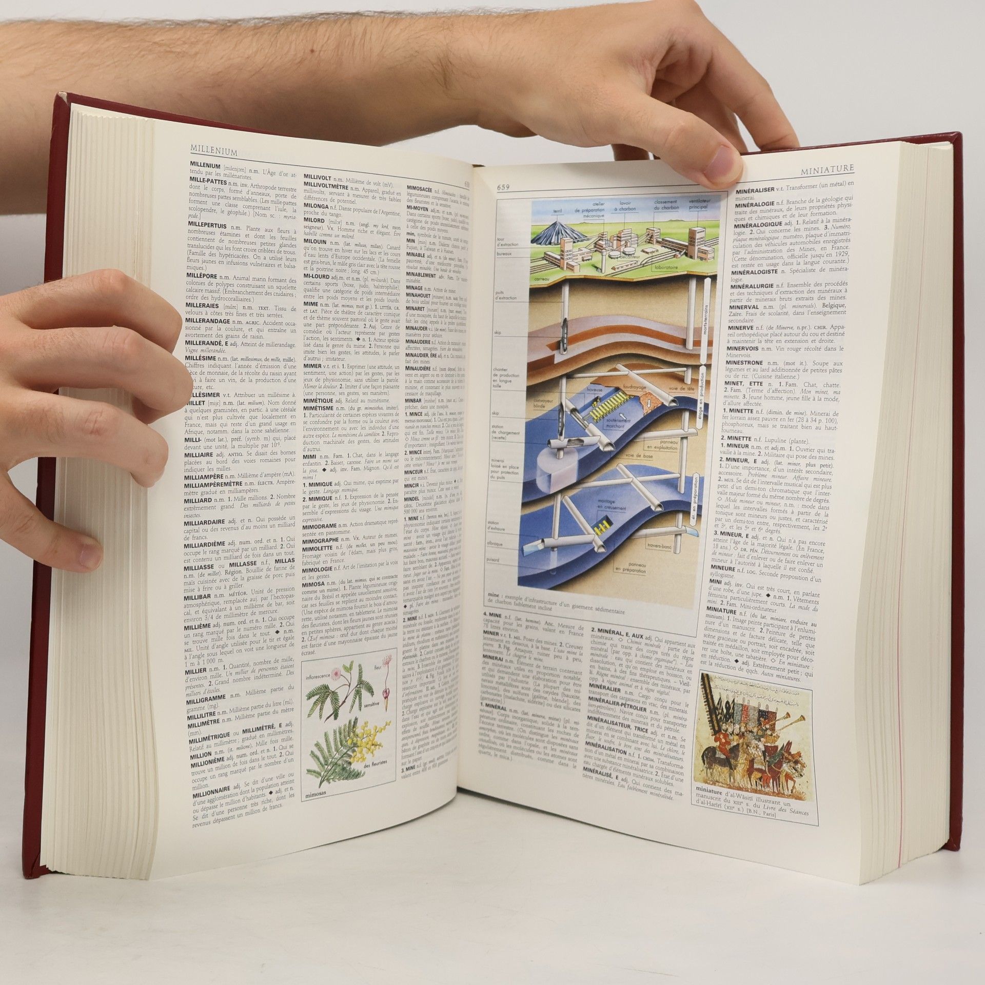 Petit Larousse grand format