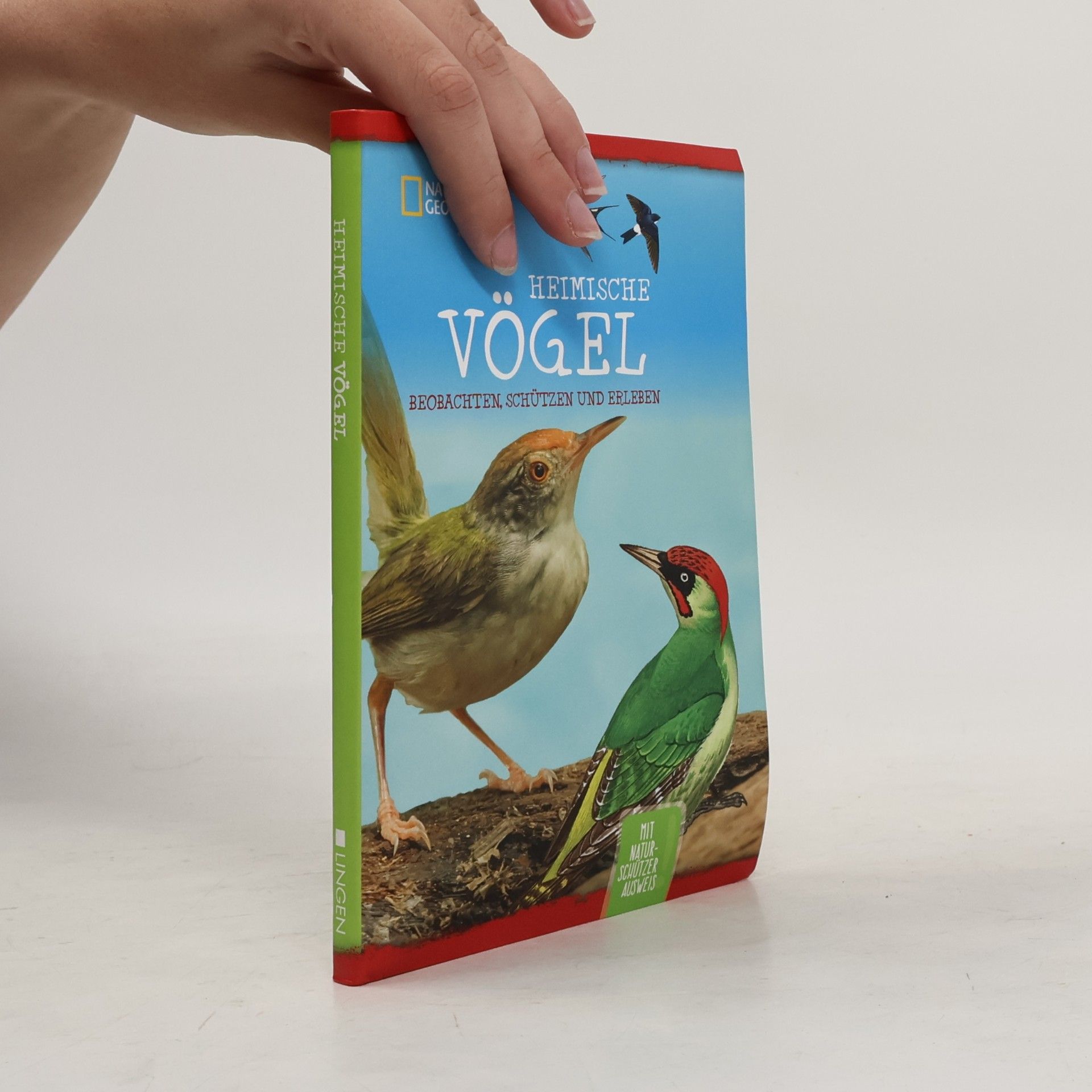 Holger Vornholt National Geographic Kids. Heimische Vögel