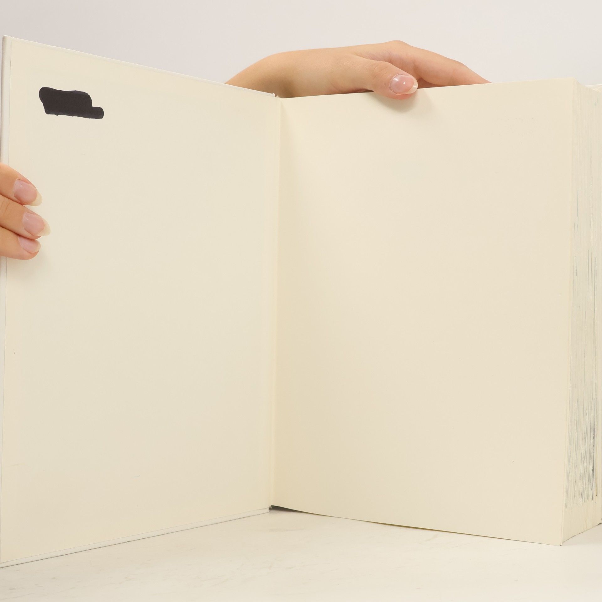 Various authors Bertelsmann Universal Lexikon