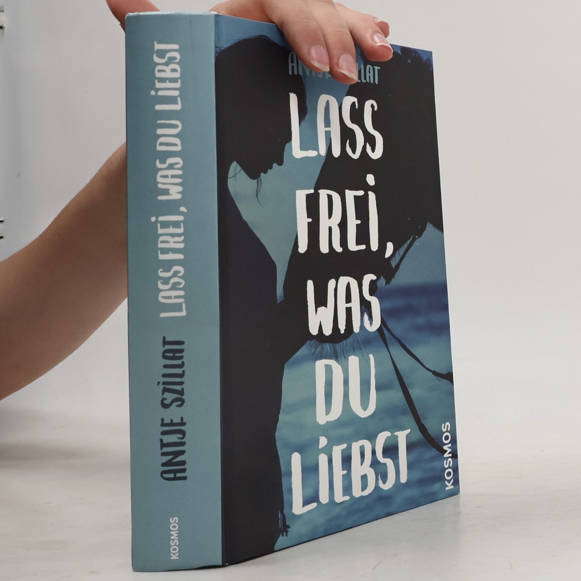 Antje Szillat Lass frei, was du liebst
