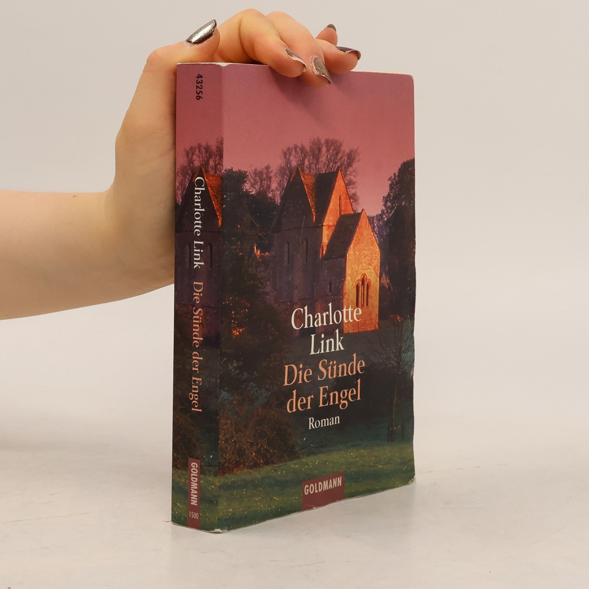 Charlotte Link Die Sünde der Engel