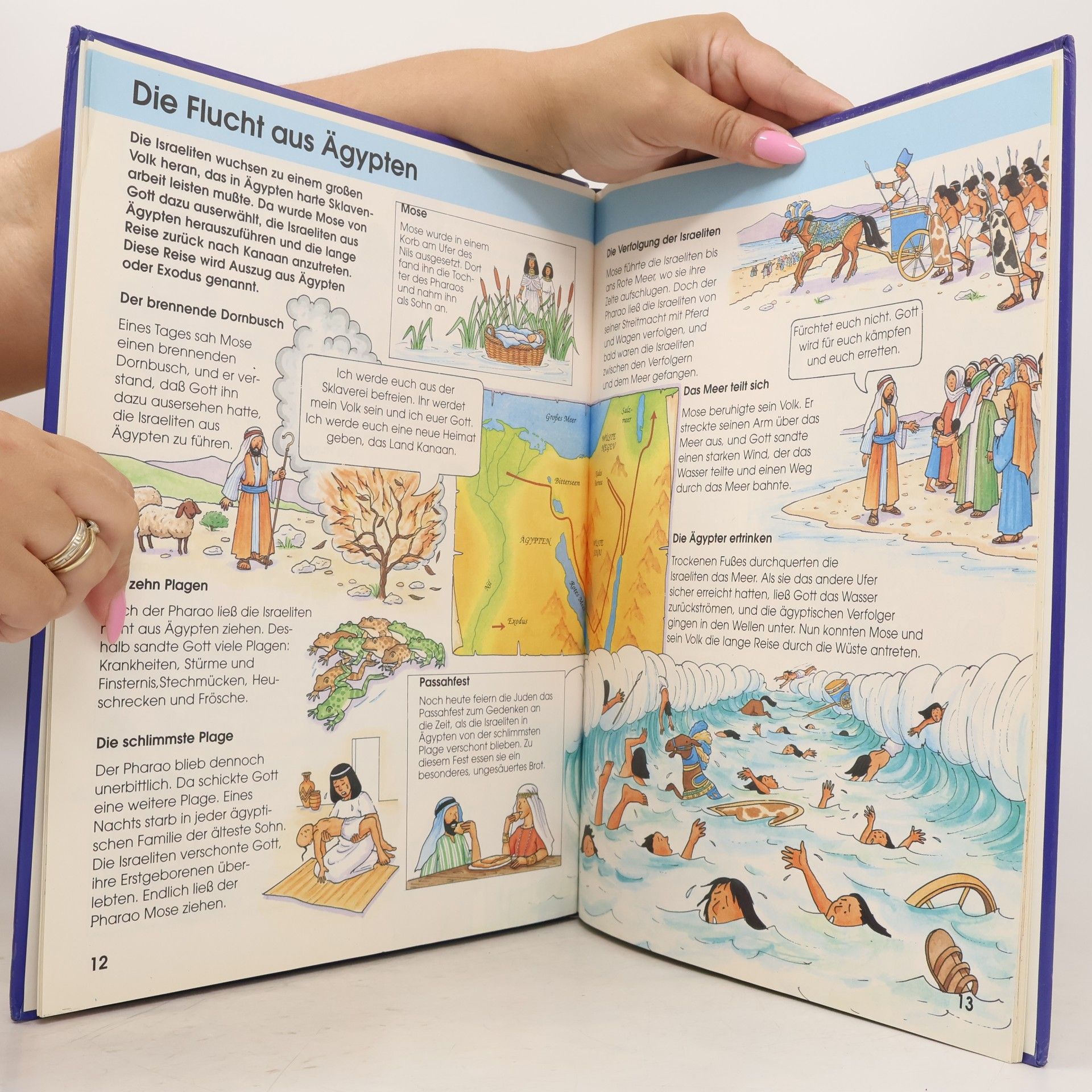 Auteurscollectief Erste Bibel für Kinder