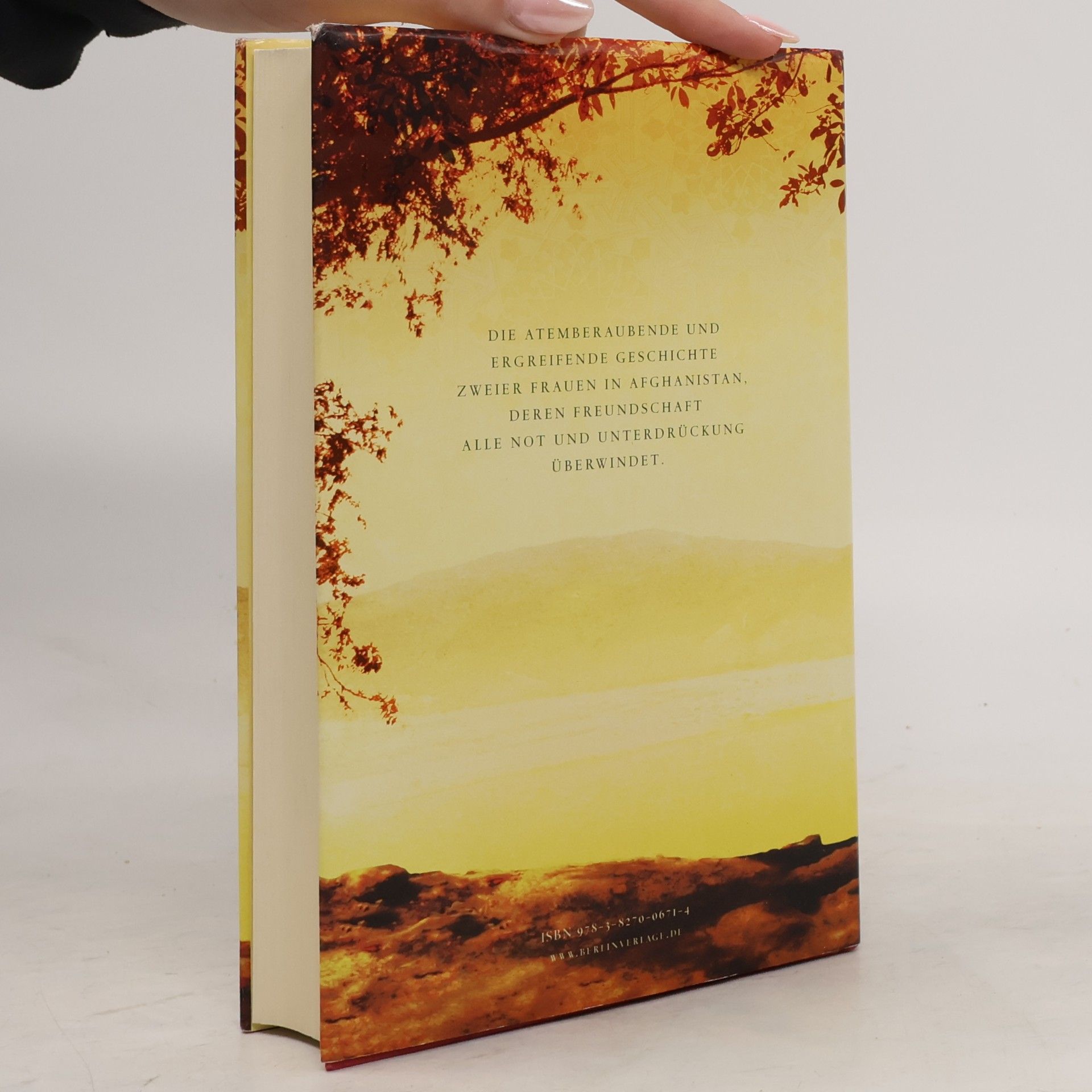 Khaled Hosseini Tausend strahlende Sonnen