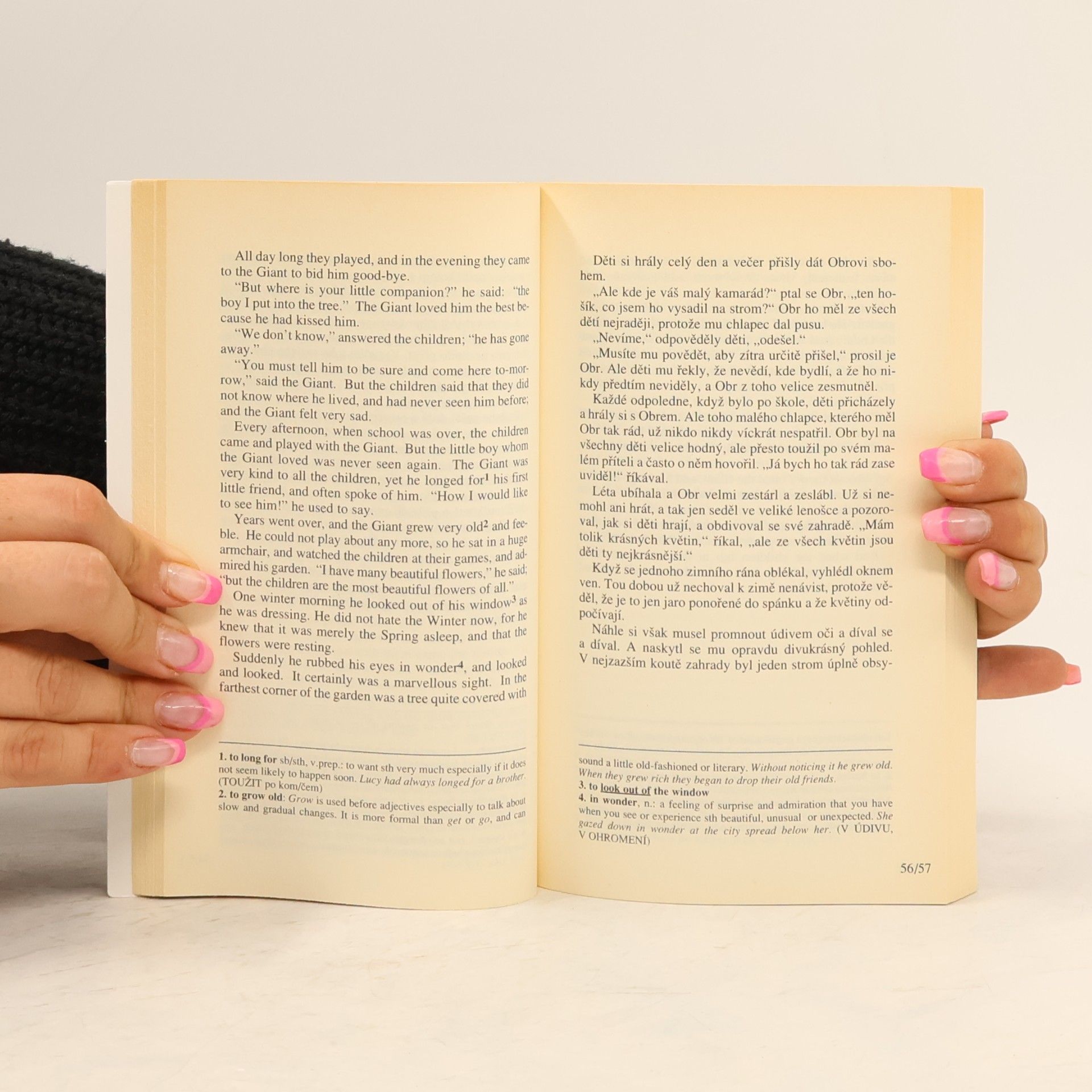 Oscar Wilde The Happy Prince and Other Tales. Šťastný princ a jiné pohádky