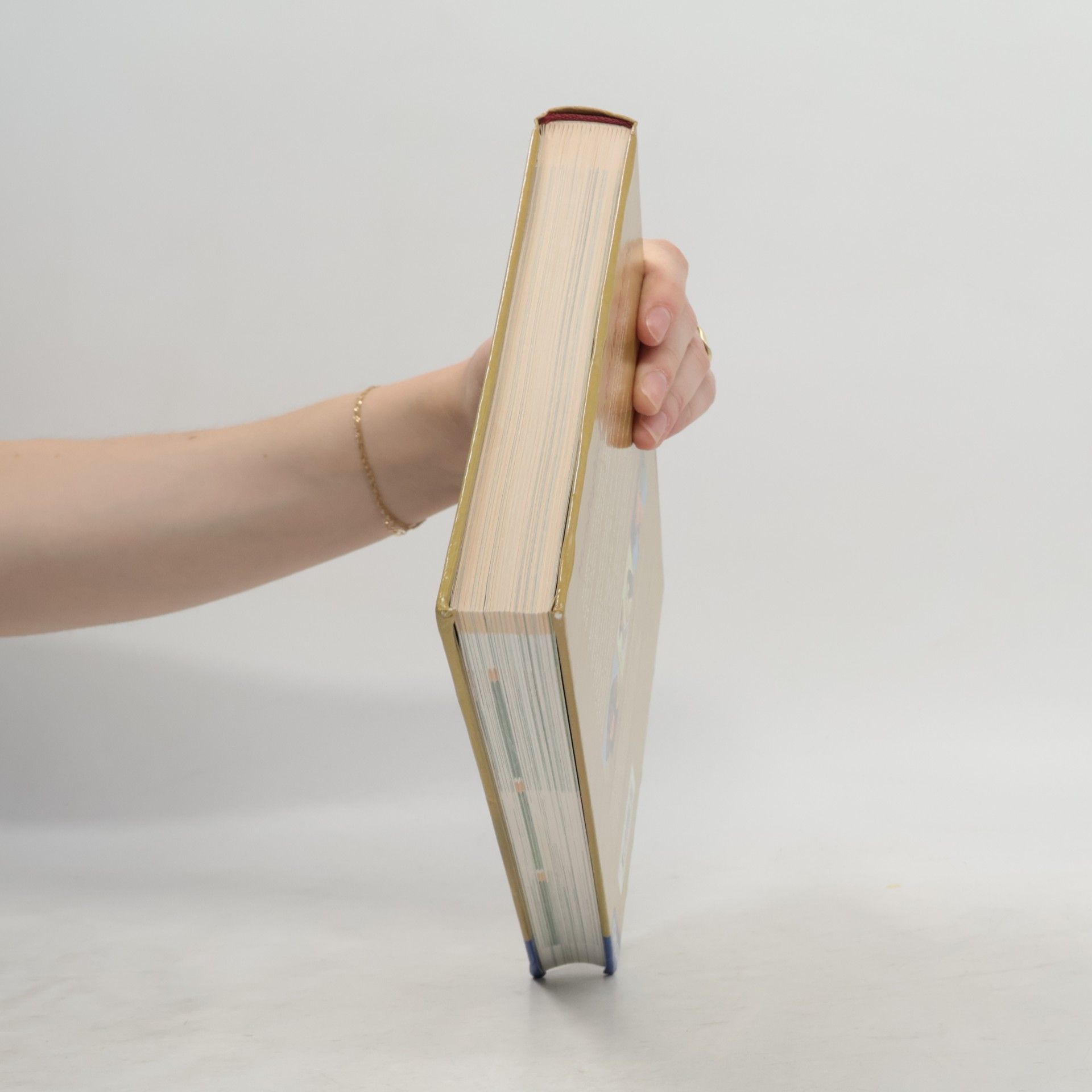 Vera-Sabine Winkler Kosmos-Handbuch Hund