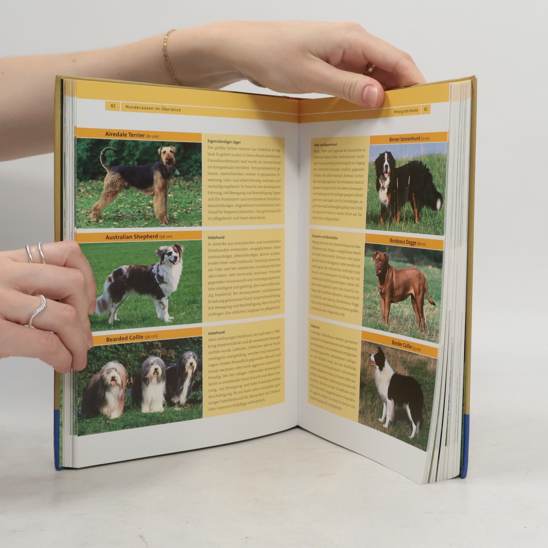 Vera-Sabine Winkler Kosmos-Handbuch Hund