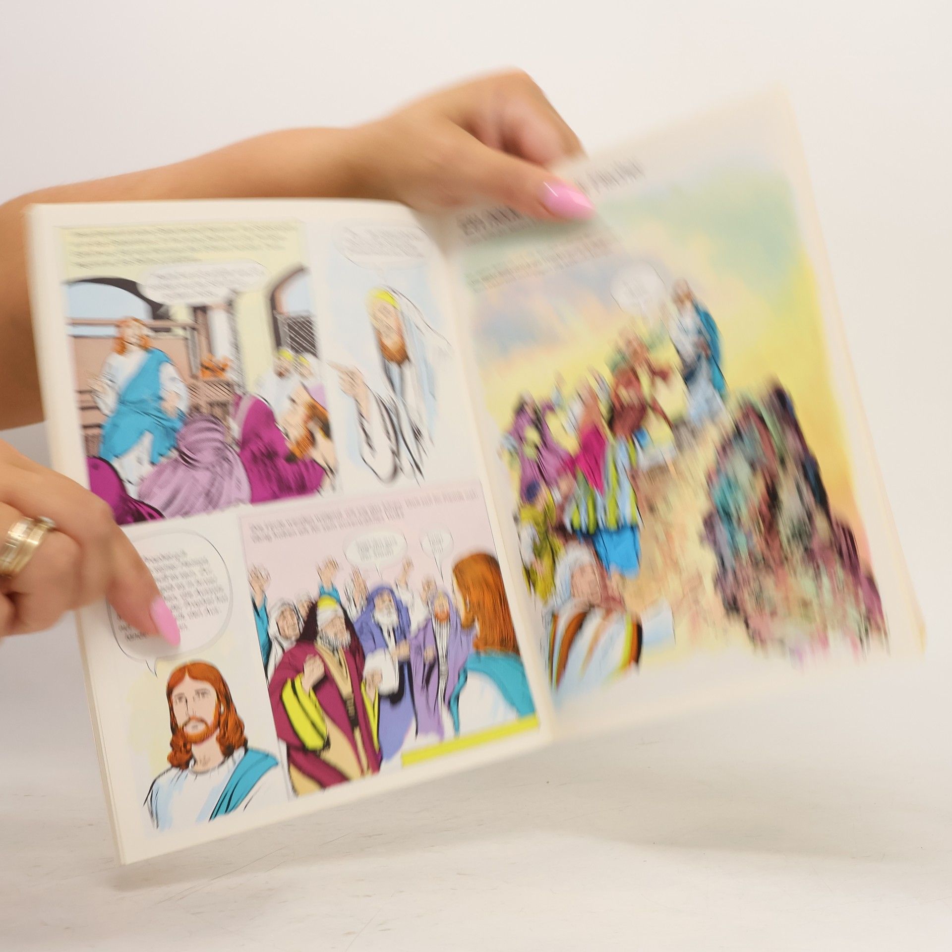 Die Bibel im Bild