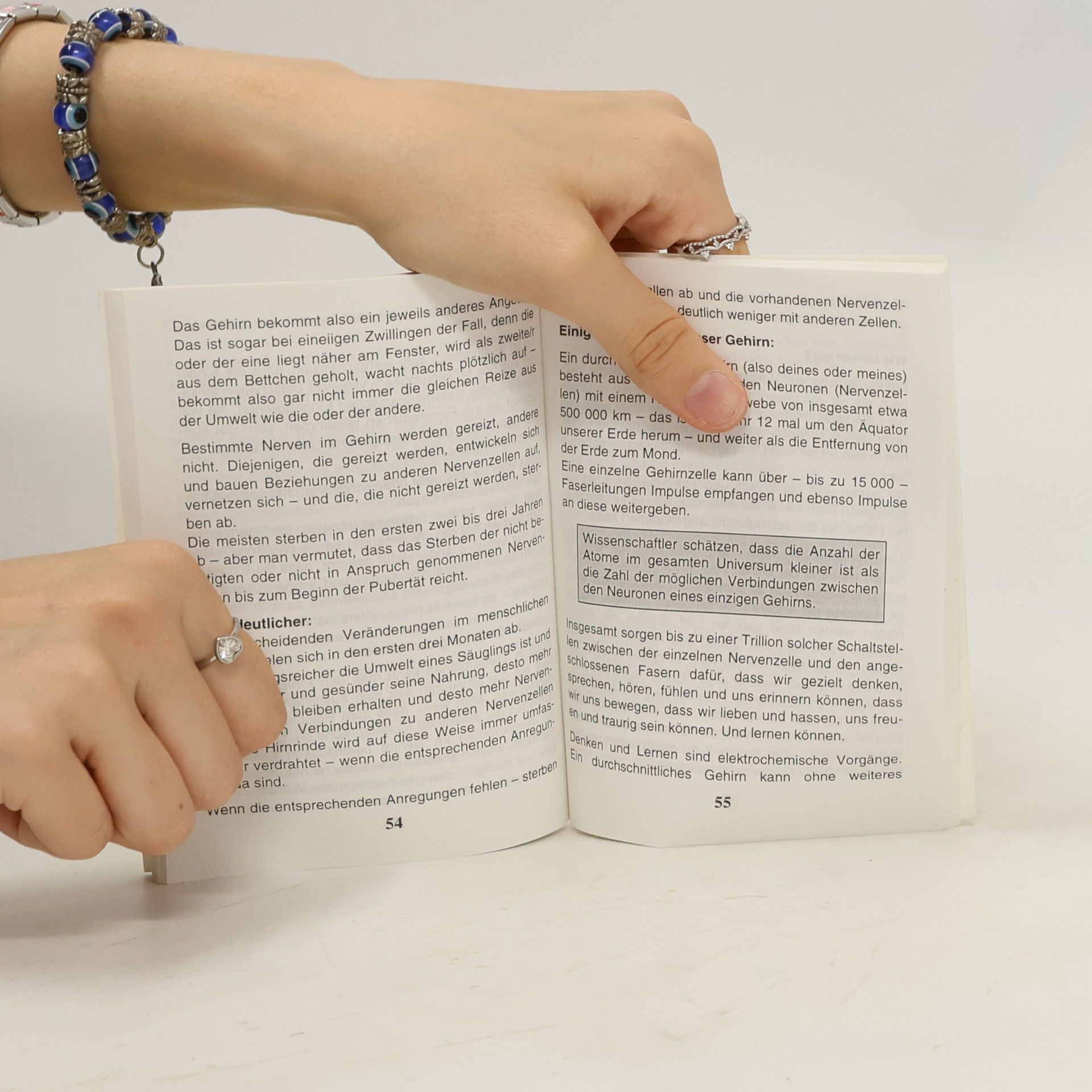 Peter Fenske Das kleine Buch vom Lernen