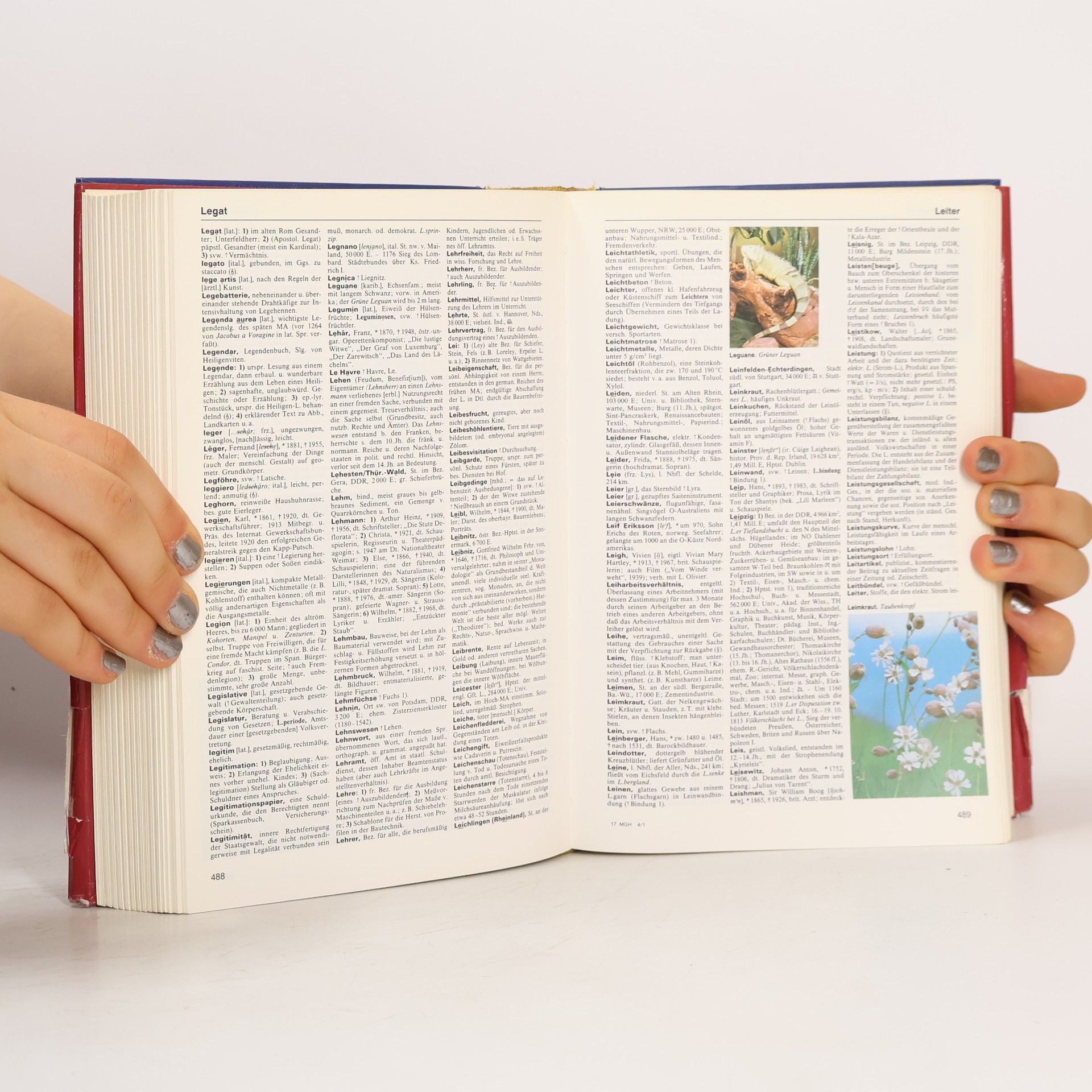 Various authors Meyers Grosses Handlexikon von A bis Z